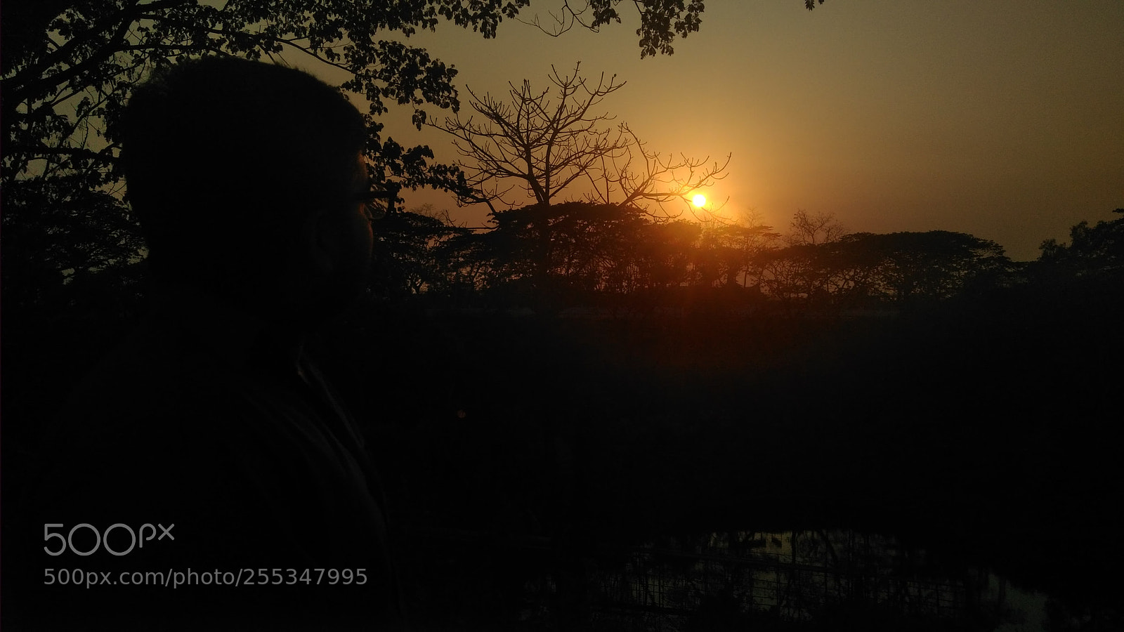 Xiaomi Redmi 4 Pro sample photo. Untitled photography