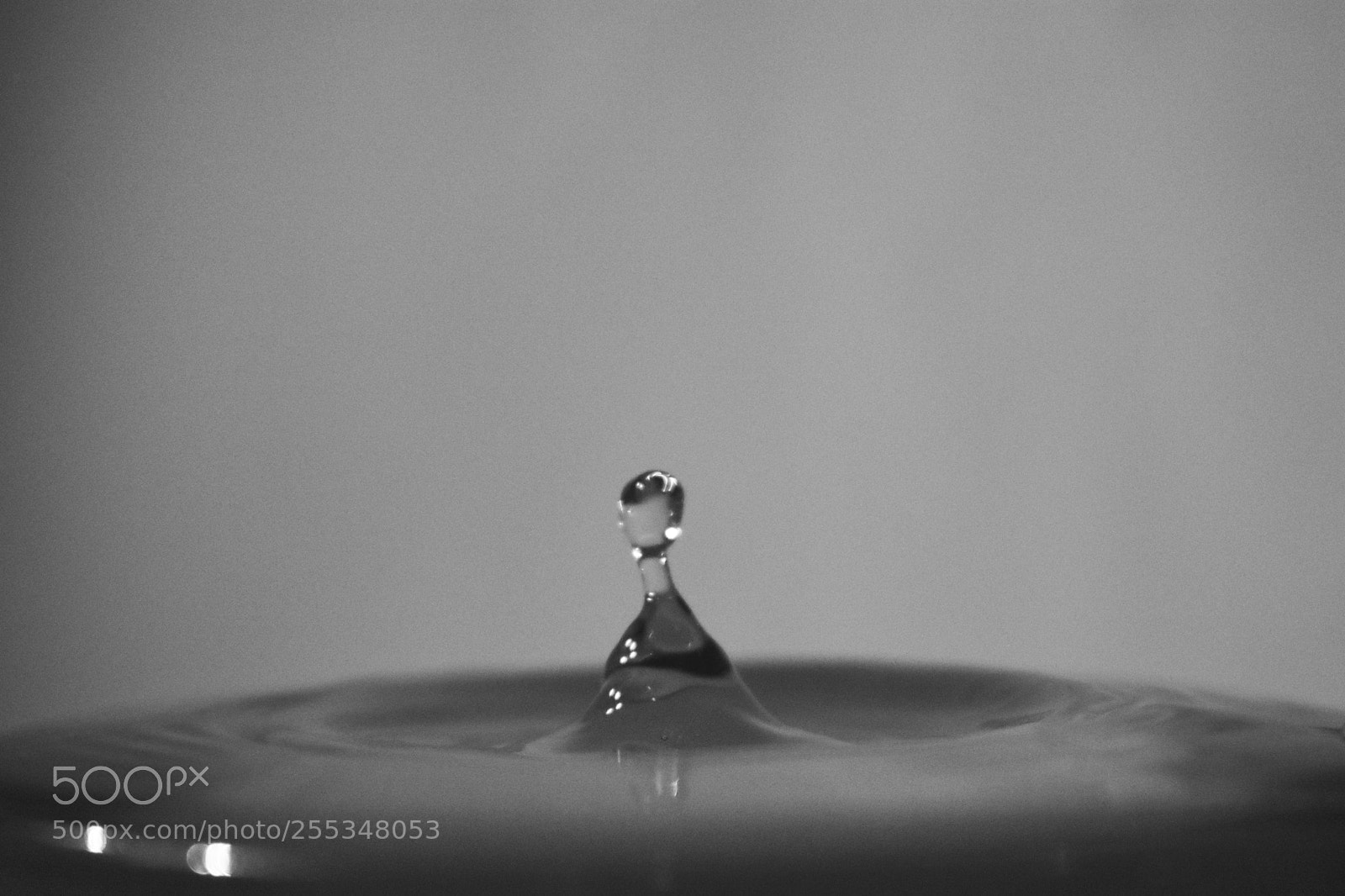 Nikon D3400 sample photo. Untitled photography