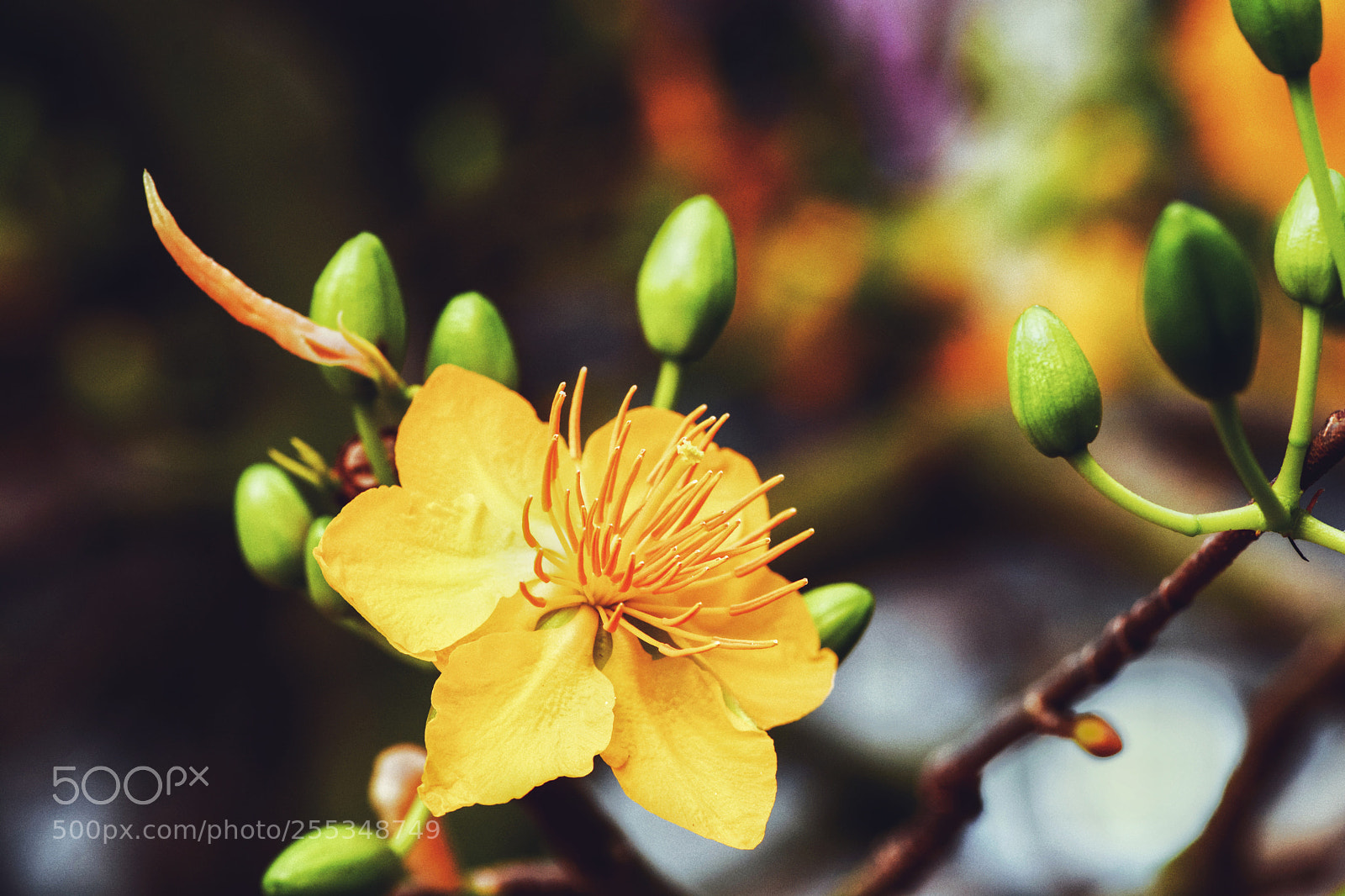 Nikon D7100 sample photo. Untitled photography