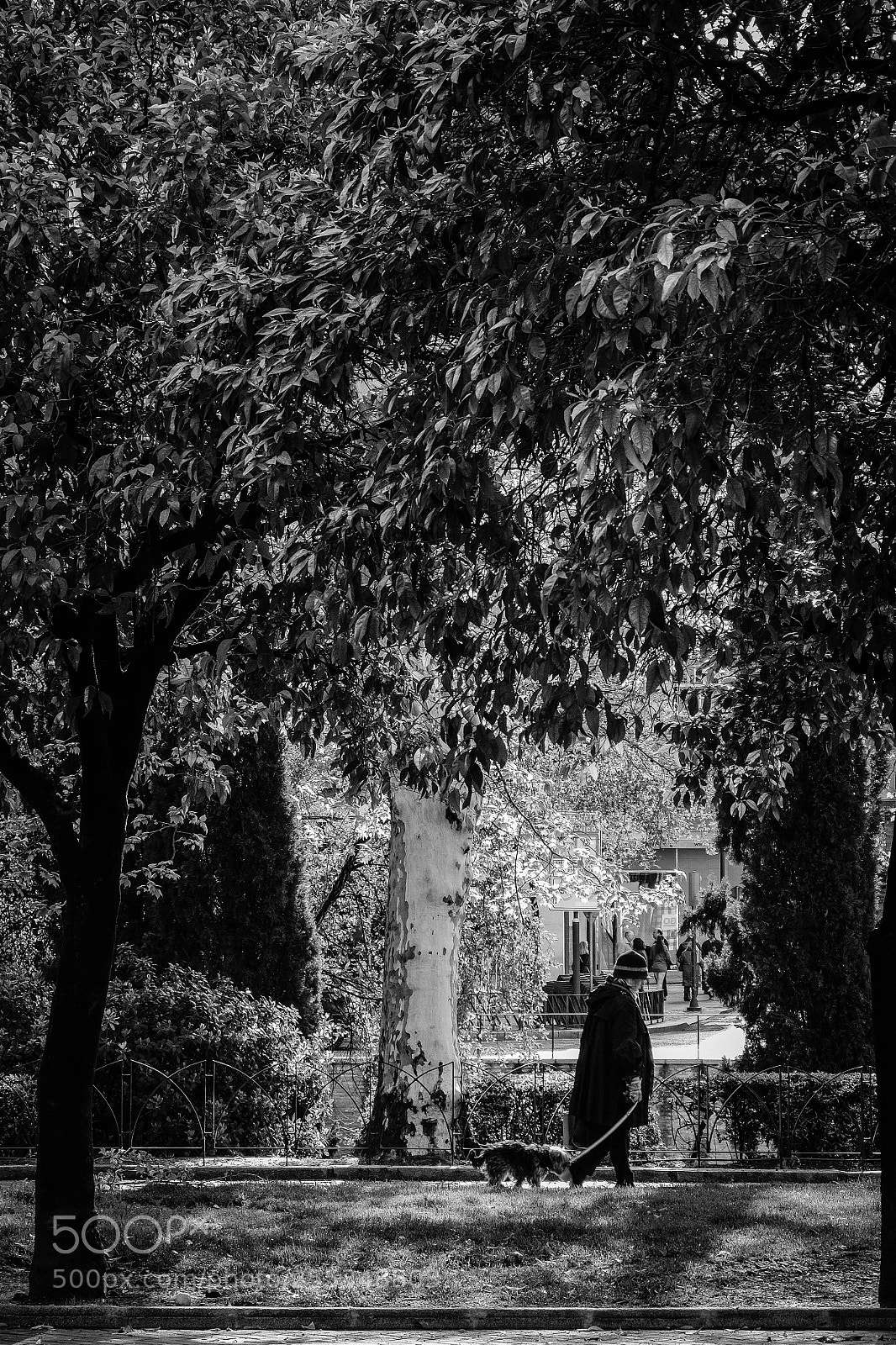 Fujifilm X-T20 sample photo. Walking the dog photography