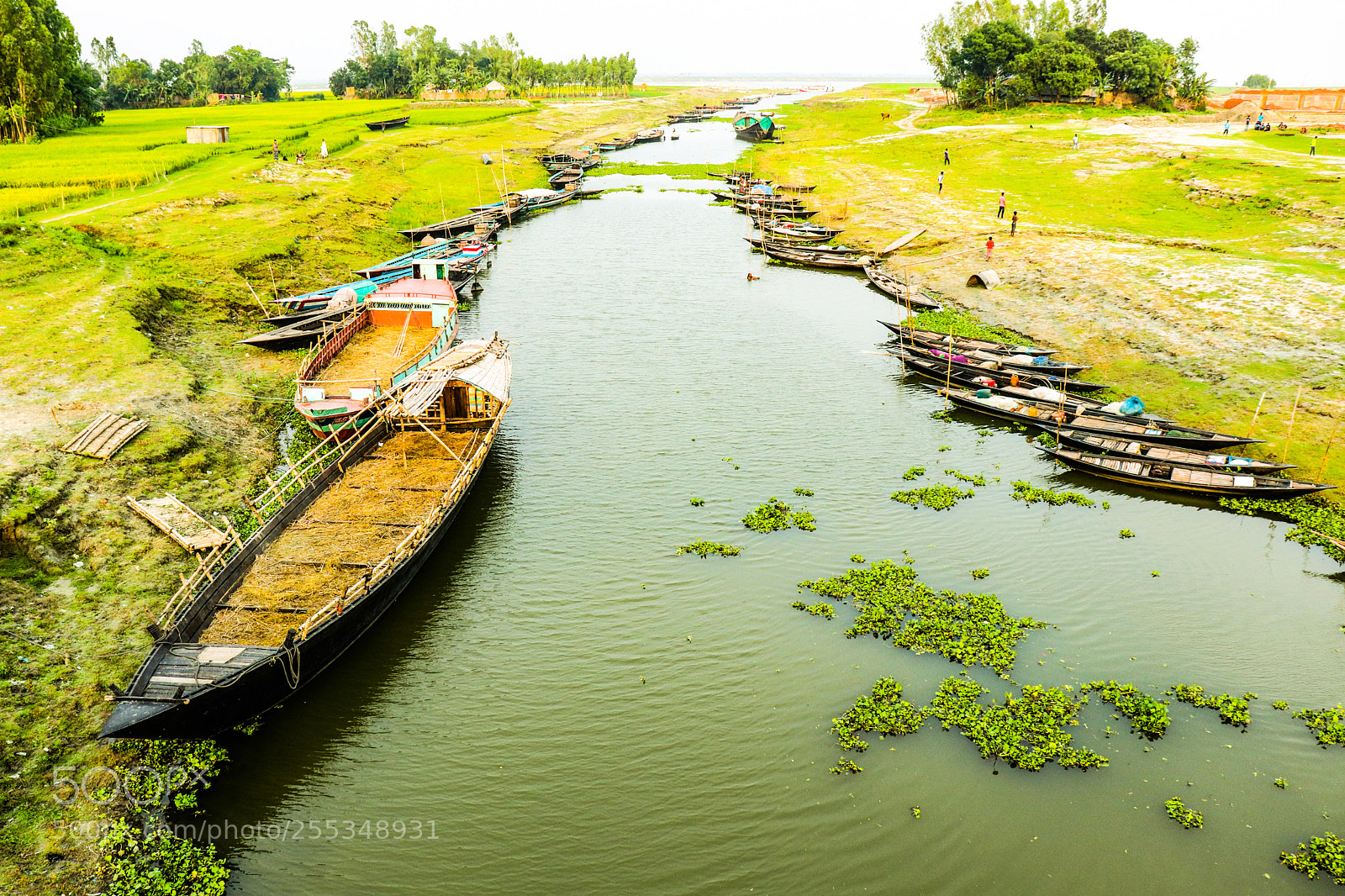 Canon EOS 77D (EOS 9000D / EOS 770D) sample photo. Untitled photography