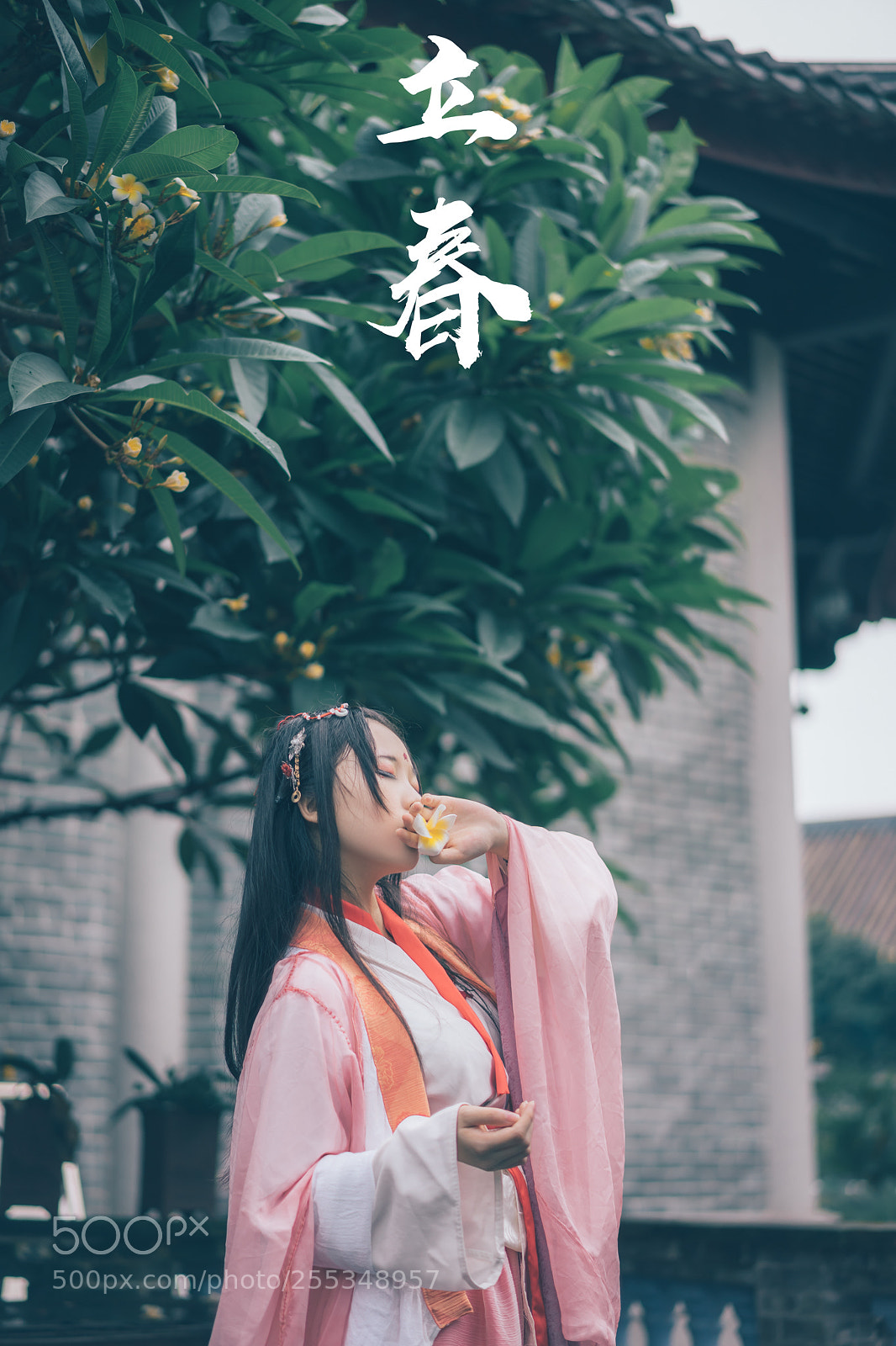 Sony a7 II sample photo. Lichun-立春 photography