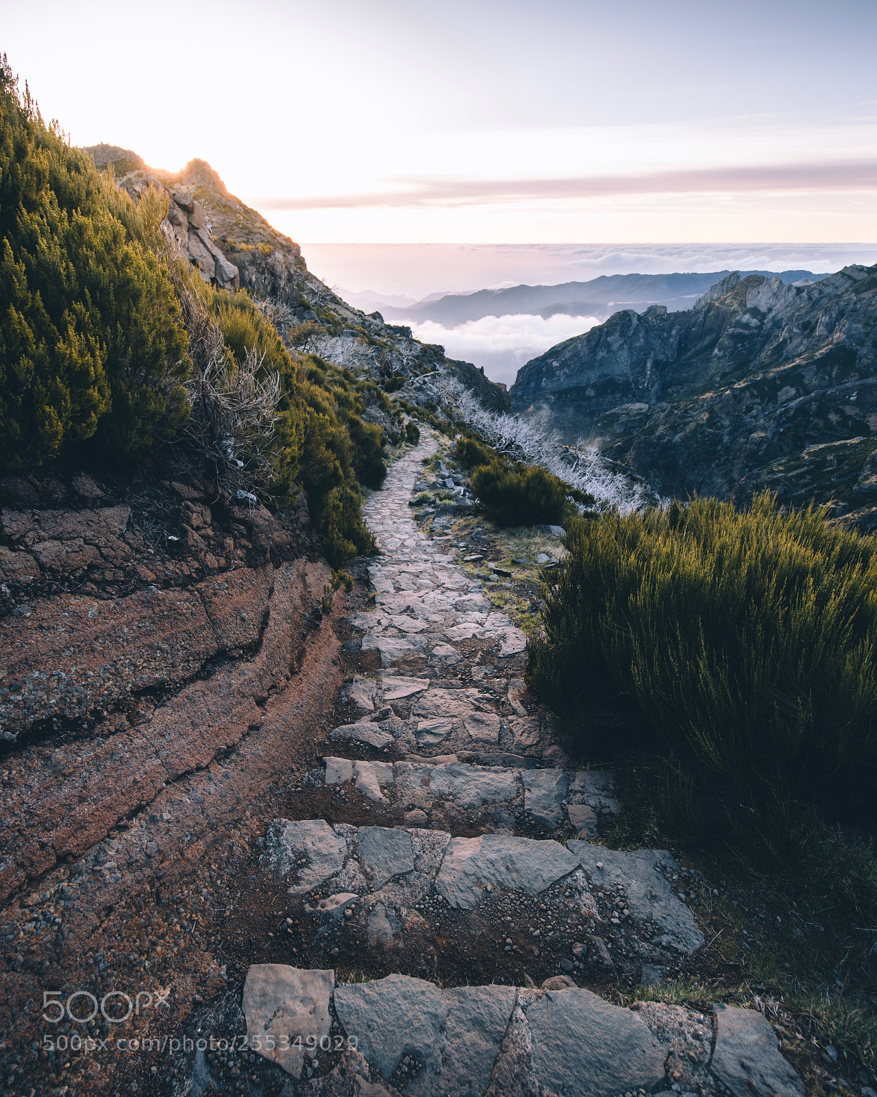 Nikon D500 sample photo. Mountain path photography