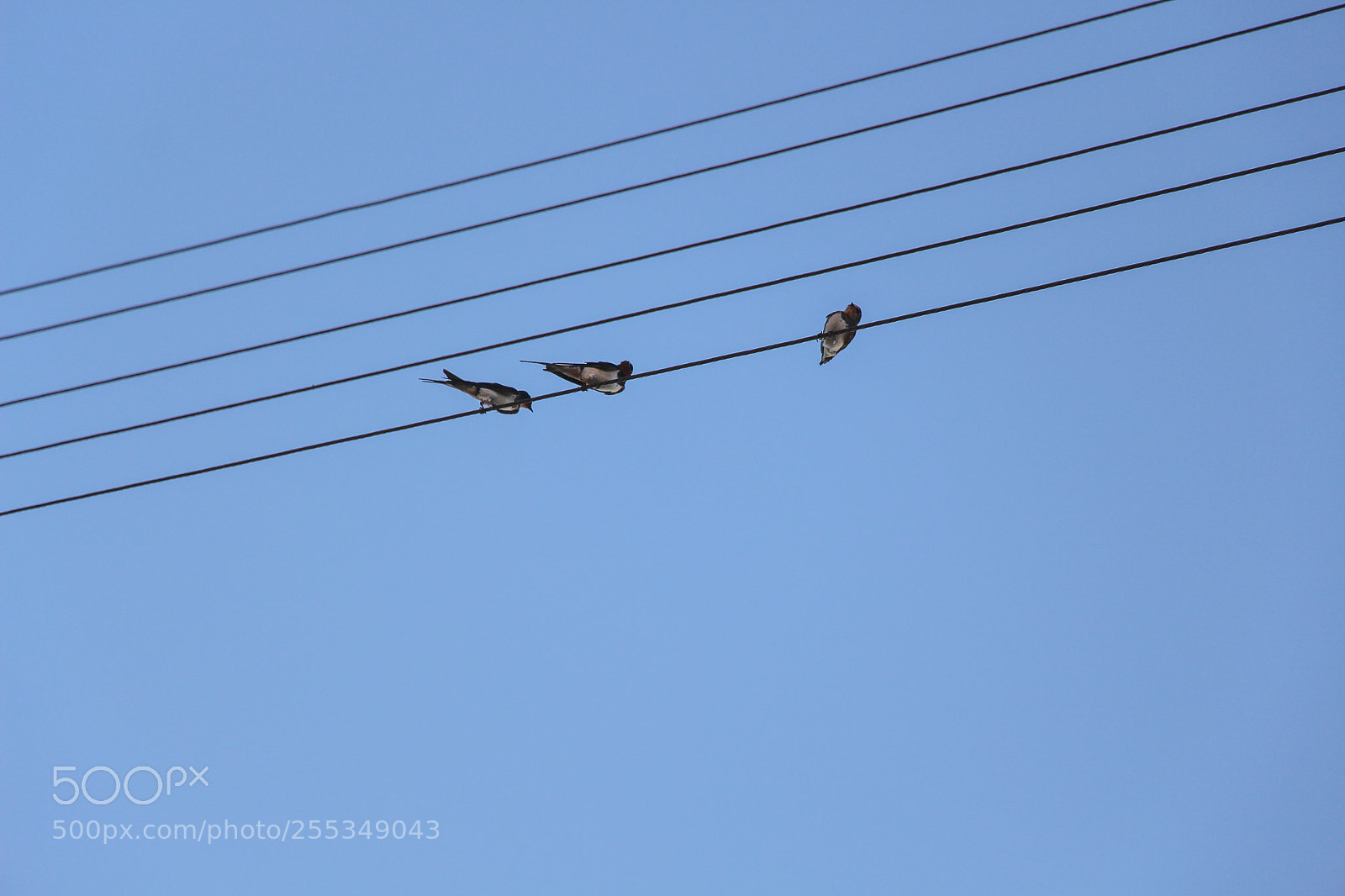 Canon EOS 700D (EOS Rebel T5i / EOS Kiss X7i) sample photo. Img photography
