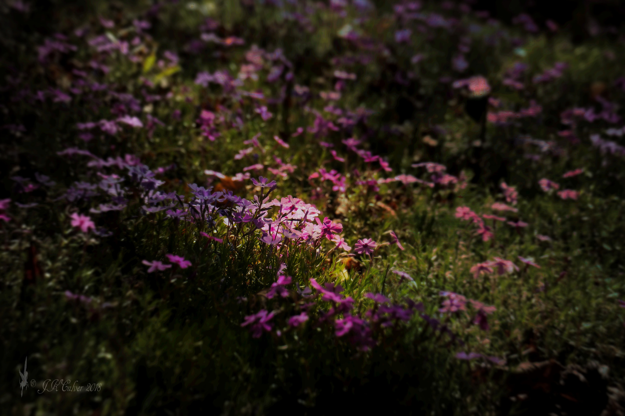Canon EOS 77D (EOS 9000D / EOS 770D) sample photo. Sunspot photography