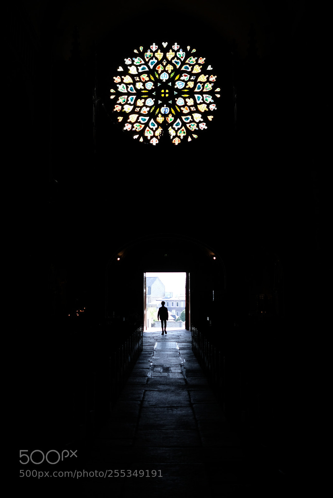 Fujifilm X-T20 sample photo. Back light in foug photography