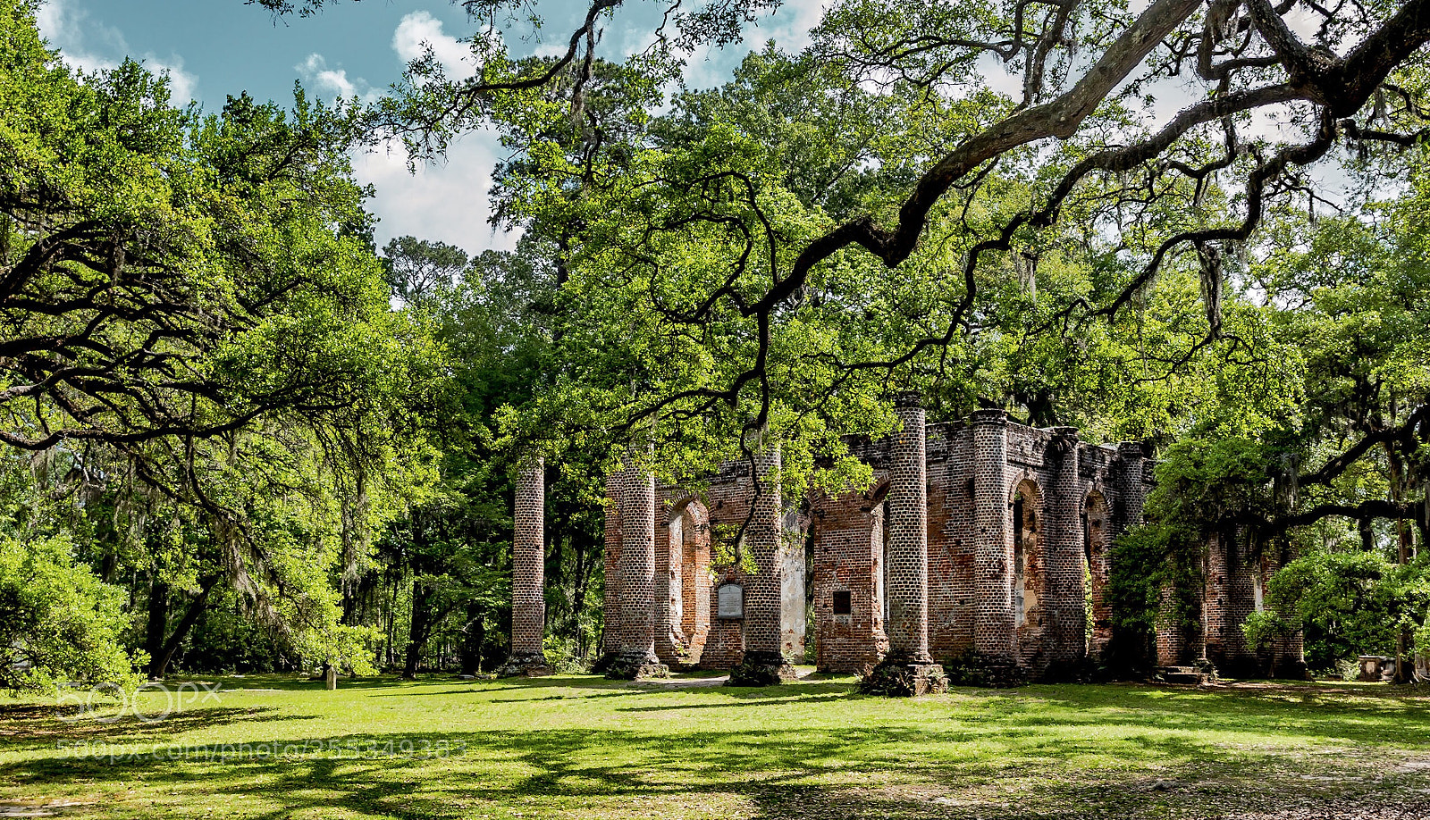 Nikon D5500 sample photo. Old shelton ruins photography