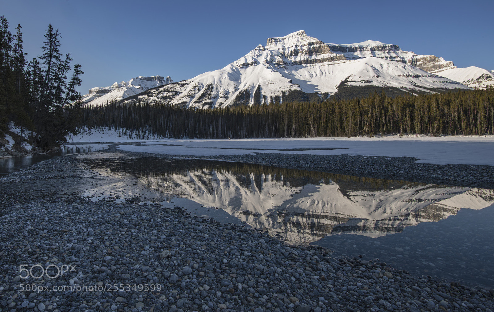 Nikon D850 sample photo. Mount amery- banff national photography