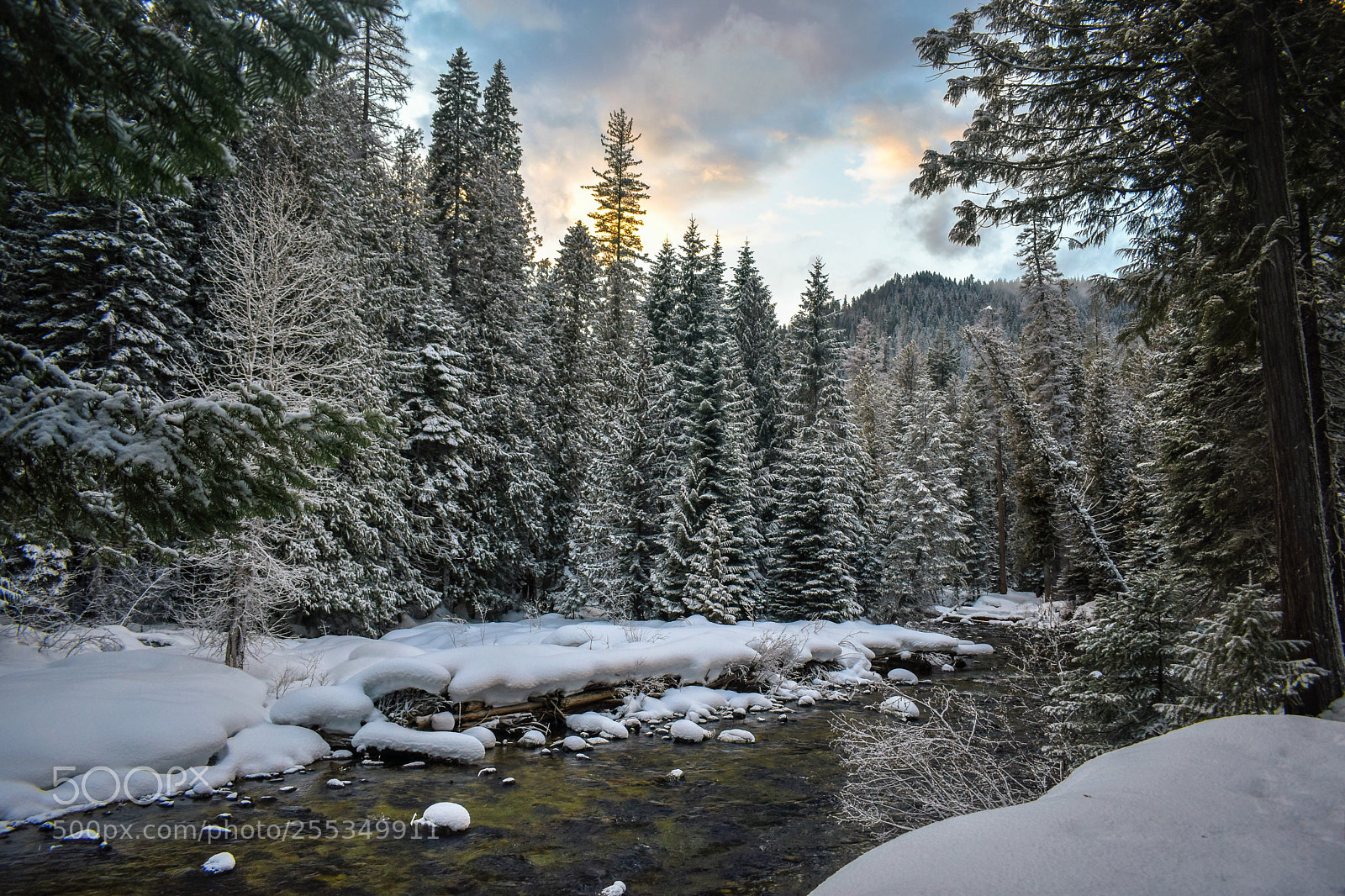 Nikon D3400 sample photo. Ice cold flow photography