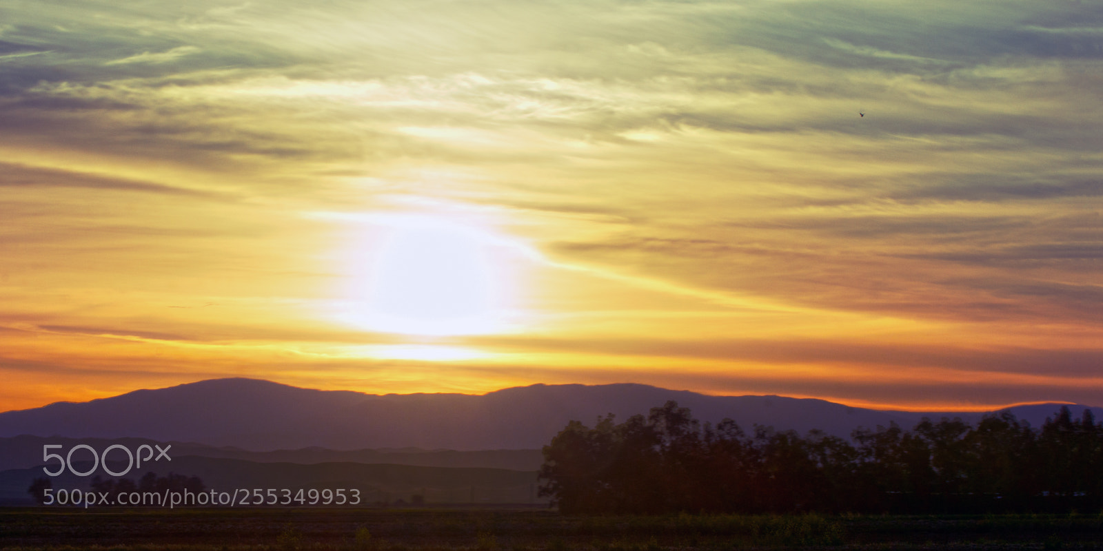 Nikon D7200 sample photo. Desert sunset photography