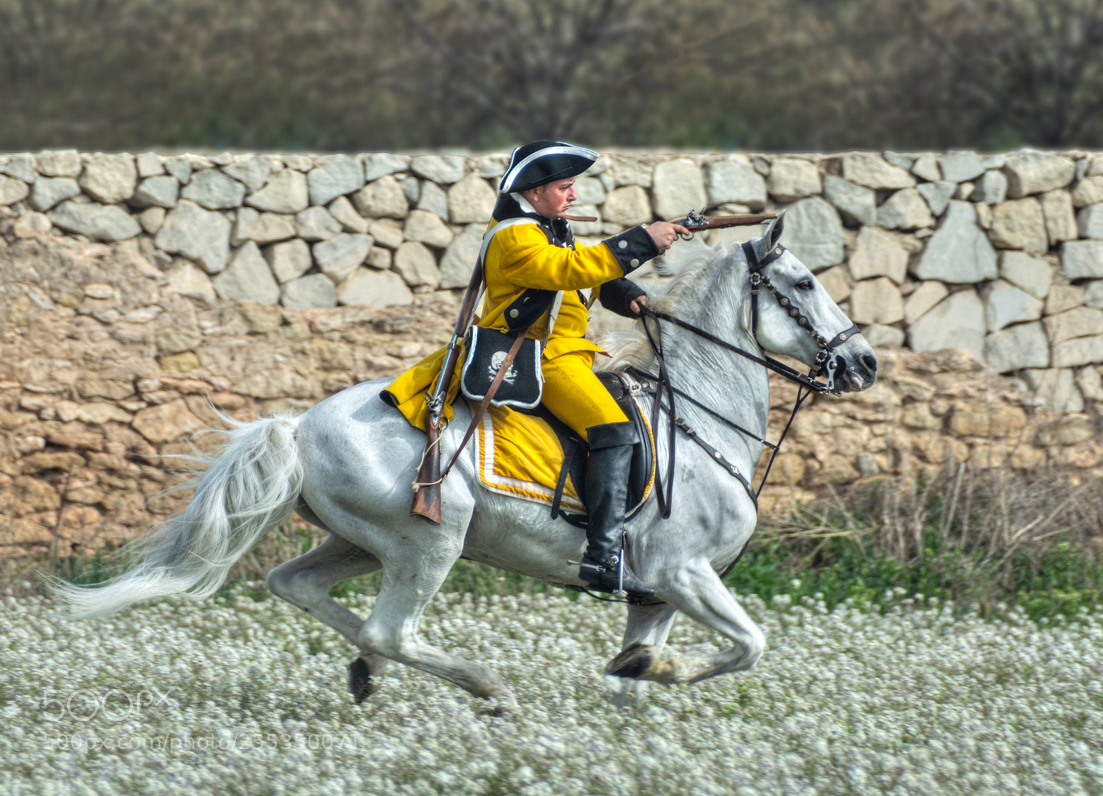 Nikon D7100 sample photo. Batalla de almansa regimiento photography