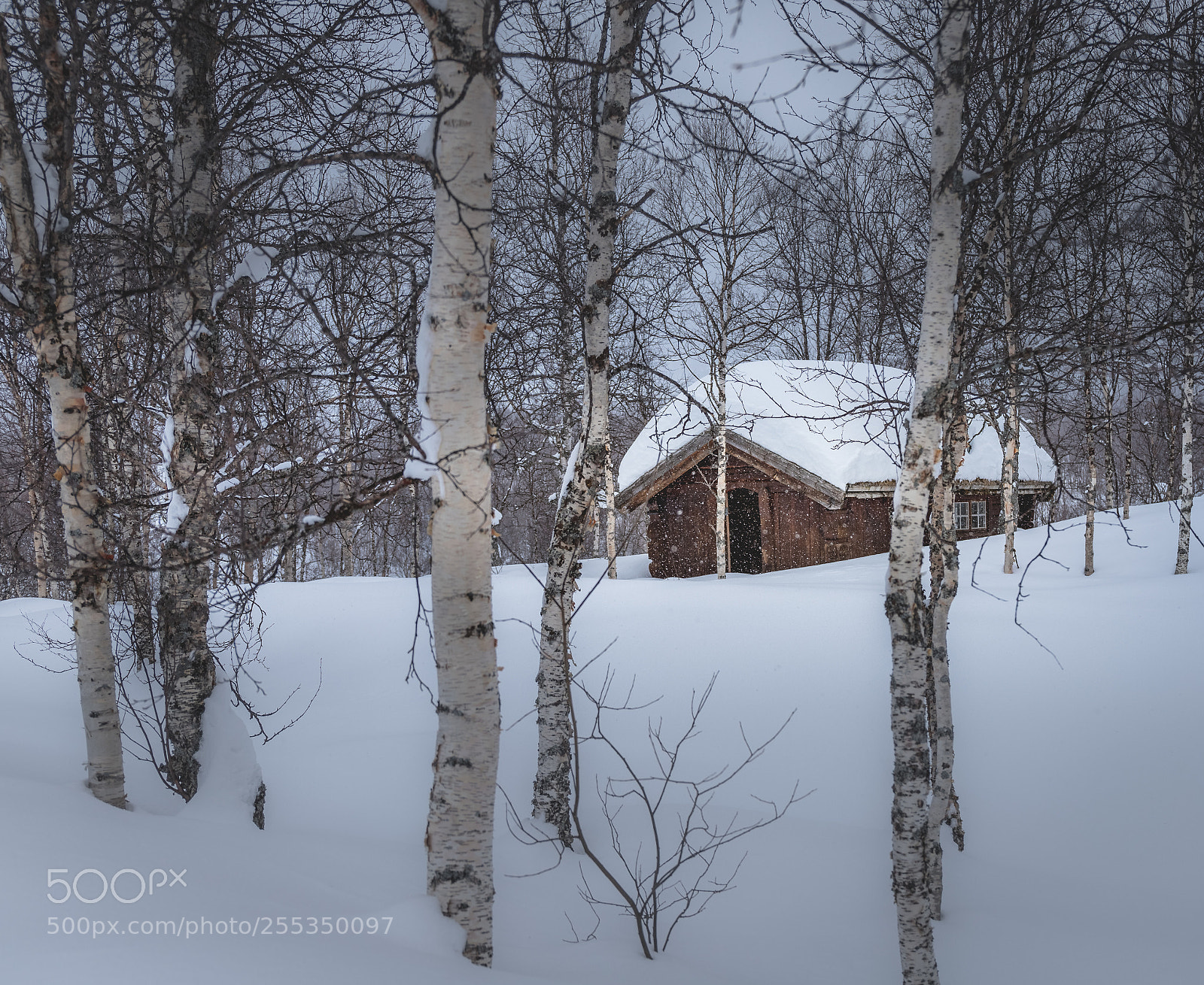 Canon EOS 6D Mark II sample photo. Snowy cabin - bardu photography