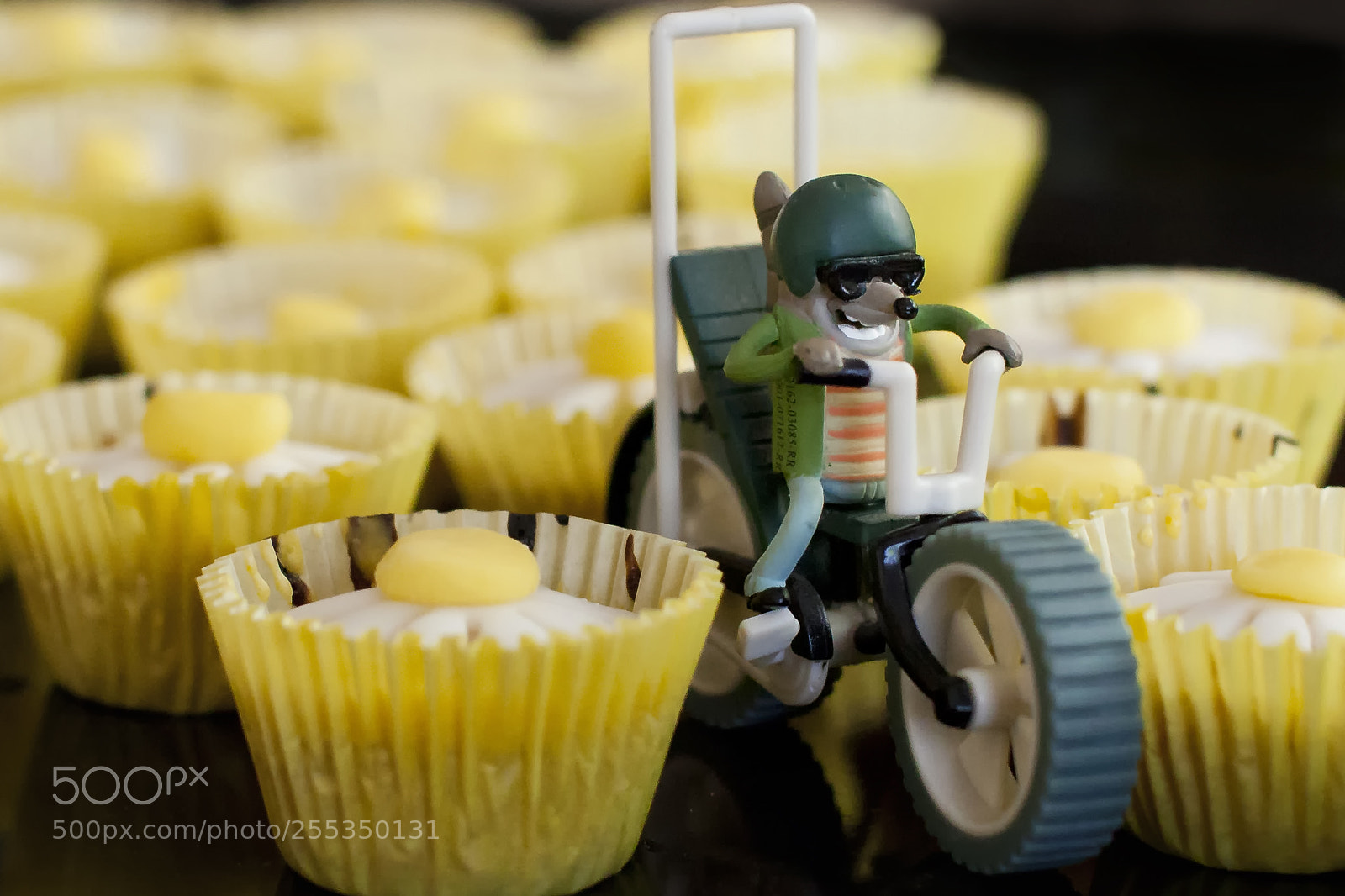 Canon EOS 5D Mark II sample photo. Img photography