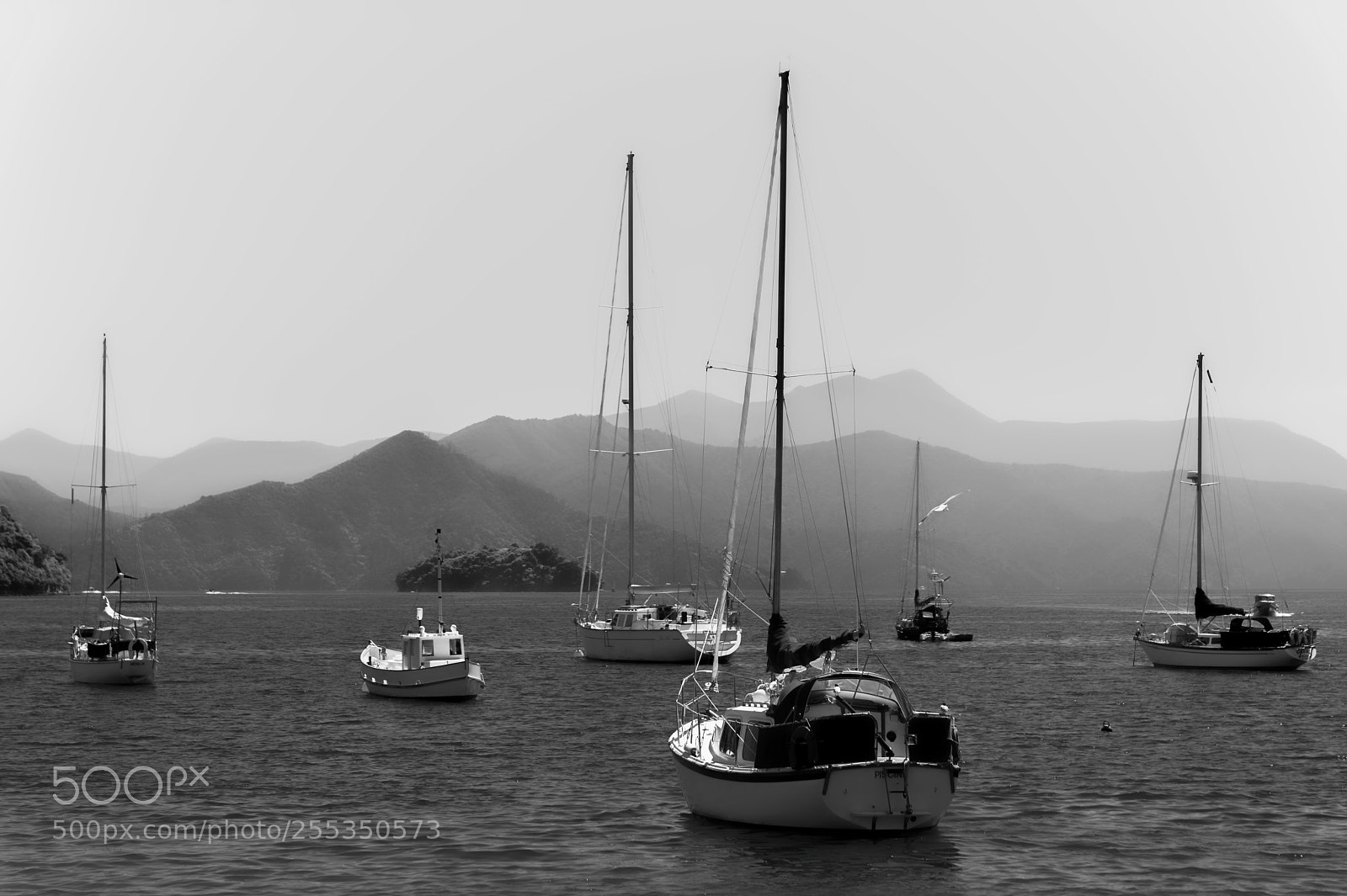 Sony a7R III sample photo. Through restful waters photography
