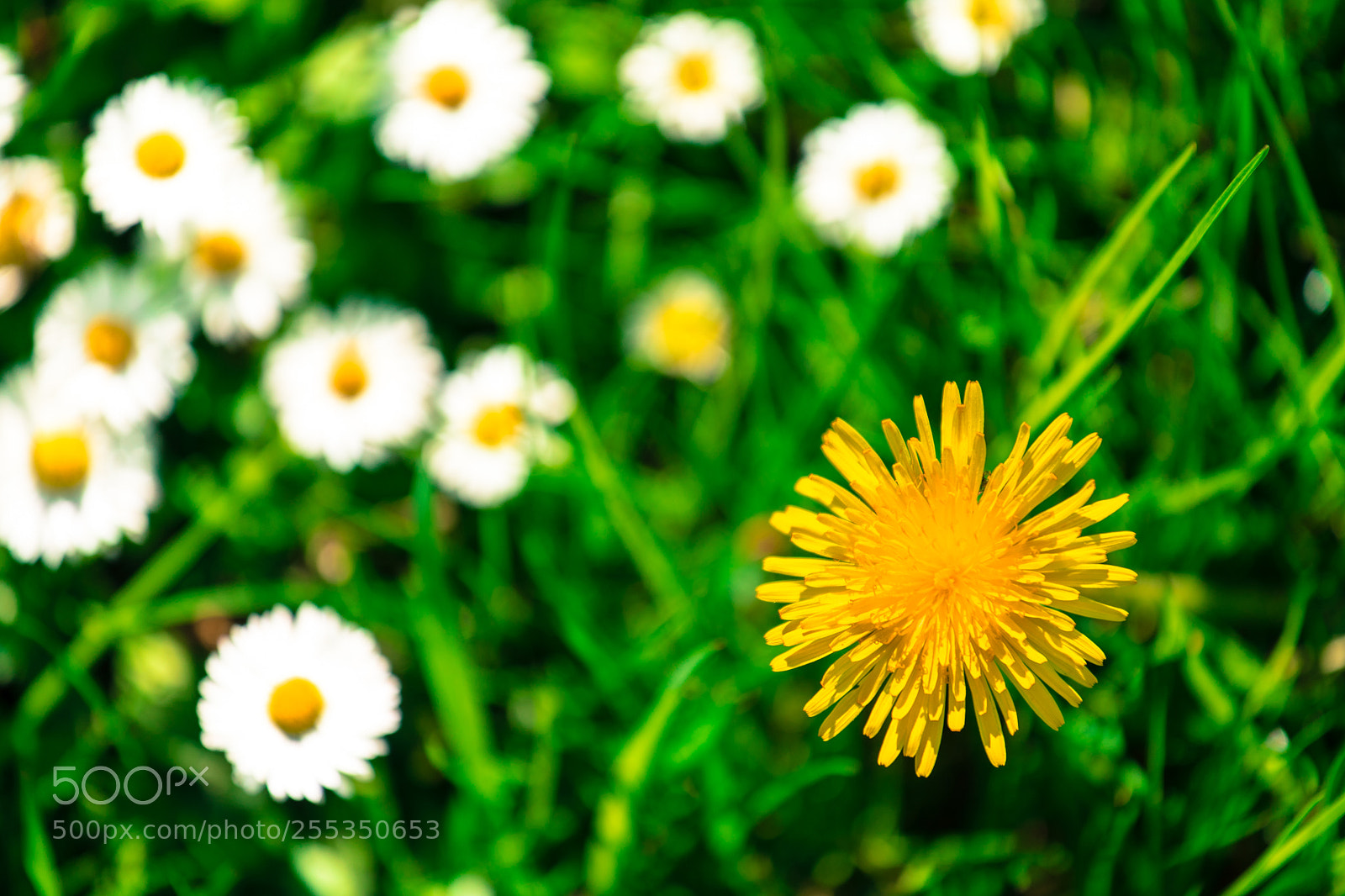 Sony a7 II sample photo. . photography