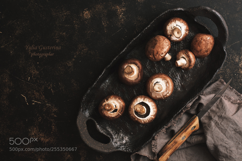 Nikon D7100 sample photo. Mushrooms photography