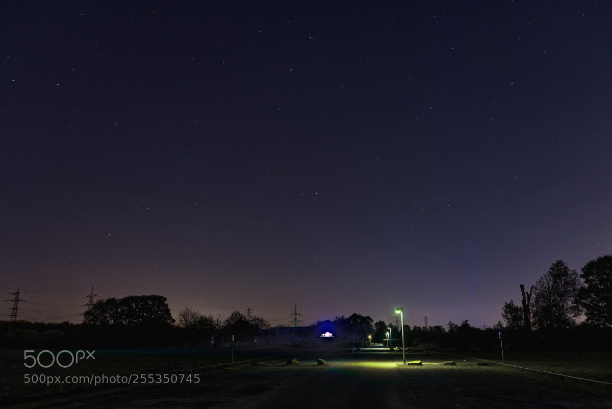 Sony a7 II sample photo. 51 /365  photography
