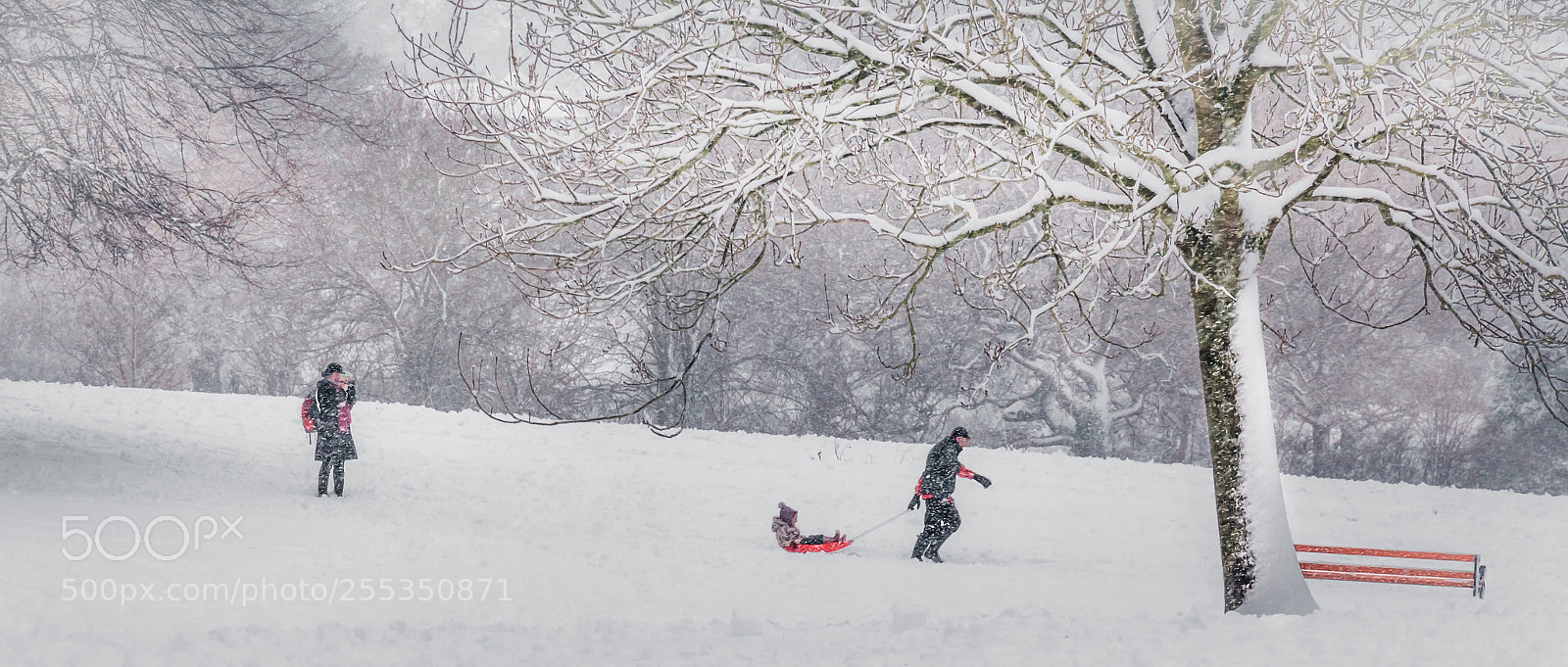 Canon EOS 60D sample photo. Sleigh fun i photography