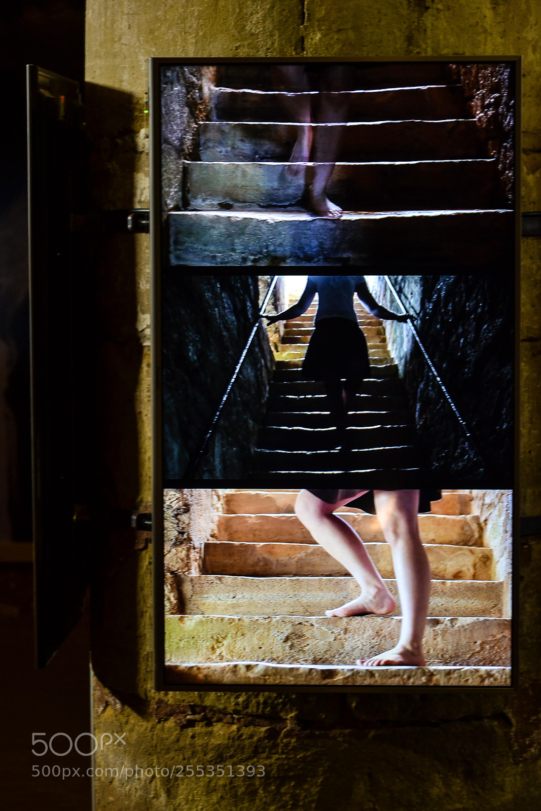 Nikon D3100 sample photo. Decomposition photography