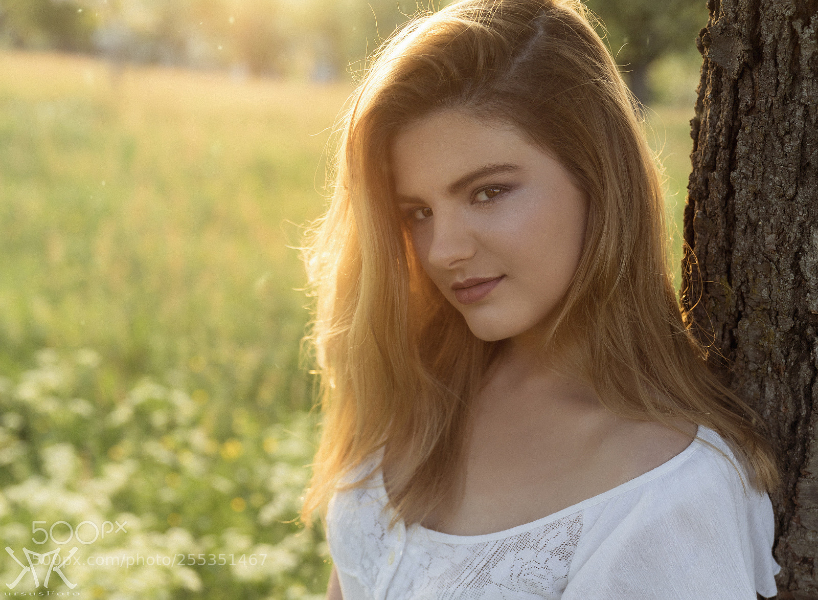 Sony a7R III sample photo. The beauty of the photography