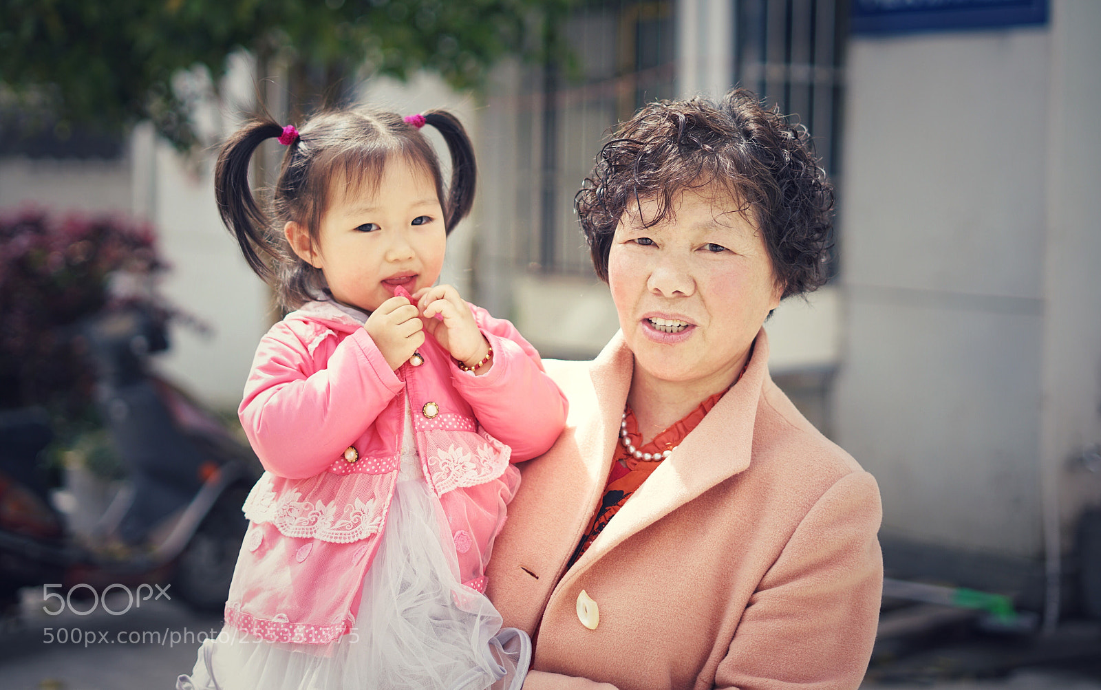 Sony a7R II sample photo. Untitled photography