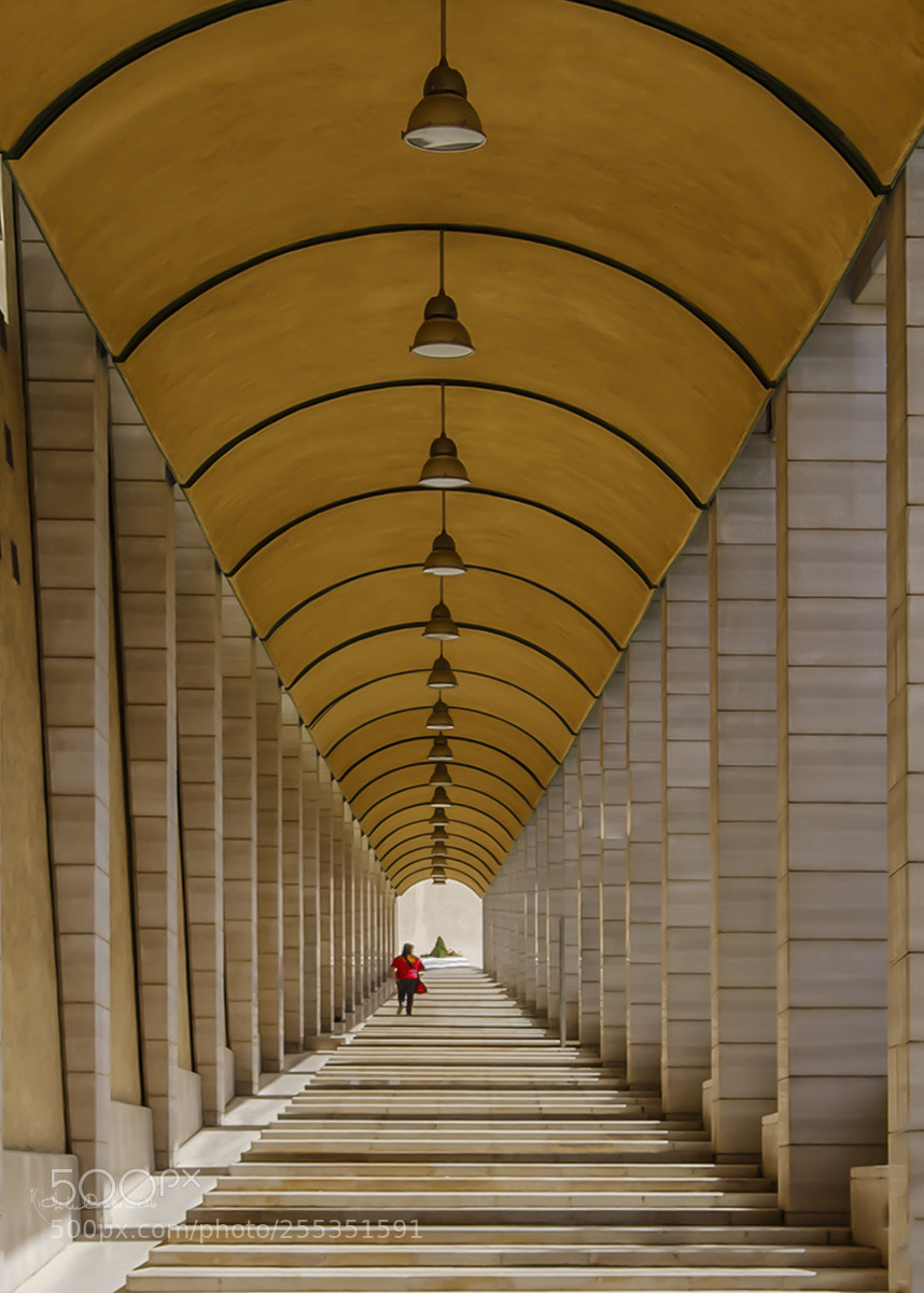 Nikon D7000 sample photo. Prospective photography