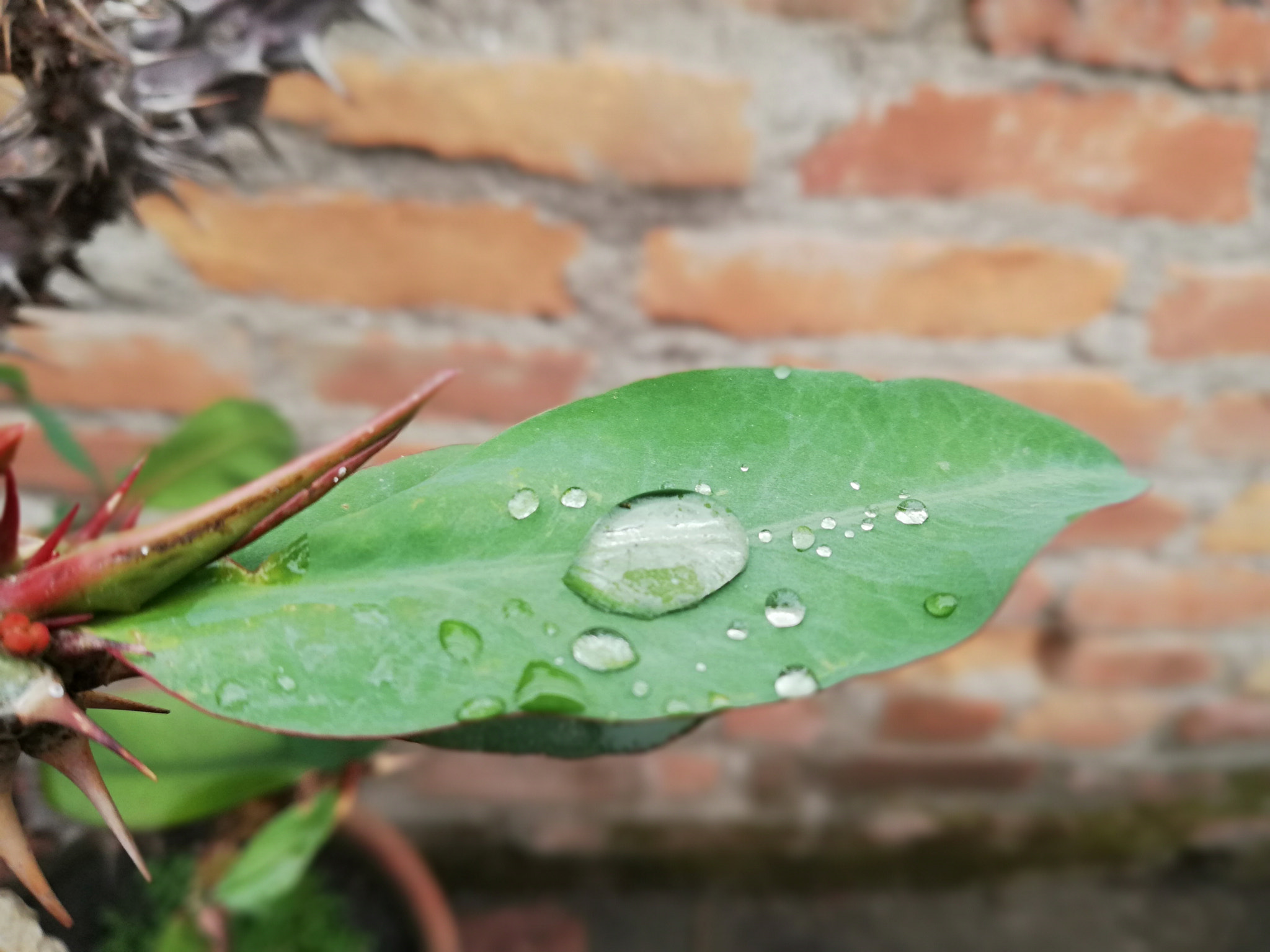 HUAWEI nova 2i sample photo. Unwanted rain photography