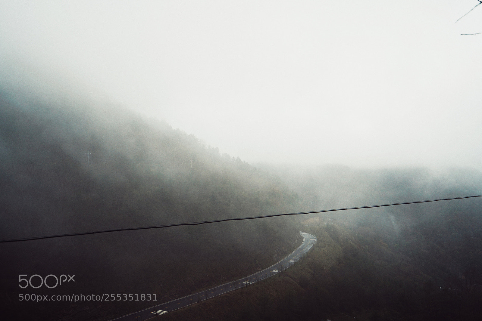 Sony a7R II sample photo. Untitled photography