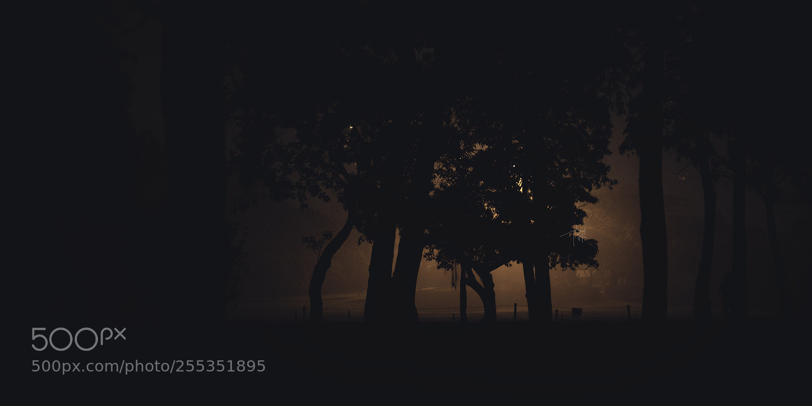 Canon EOS 6D sample photo. Untitled photography