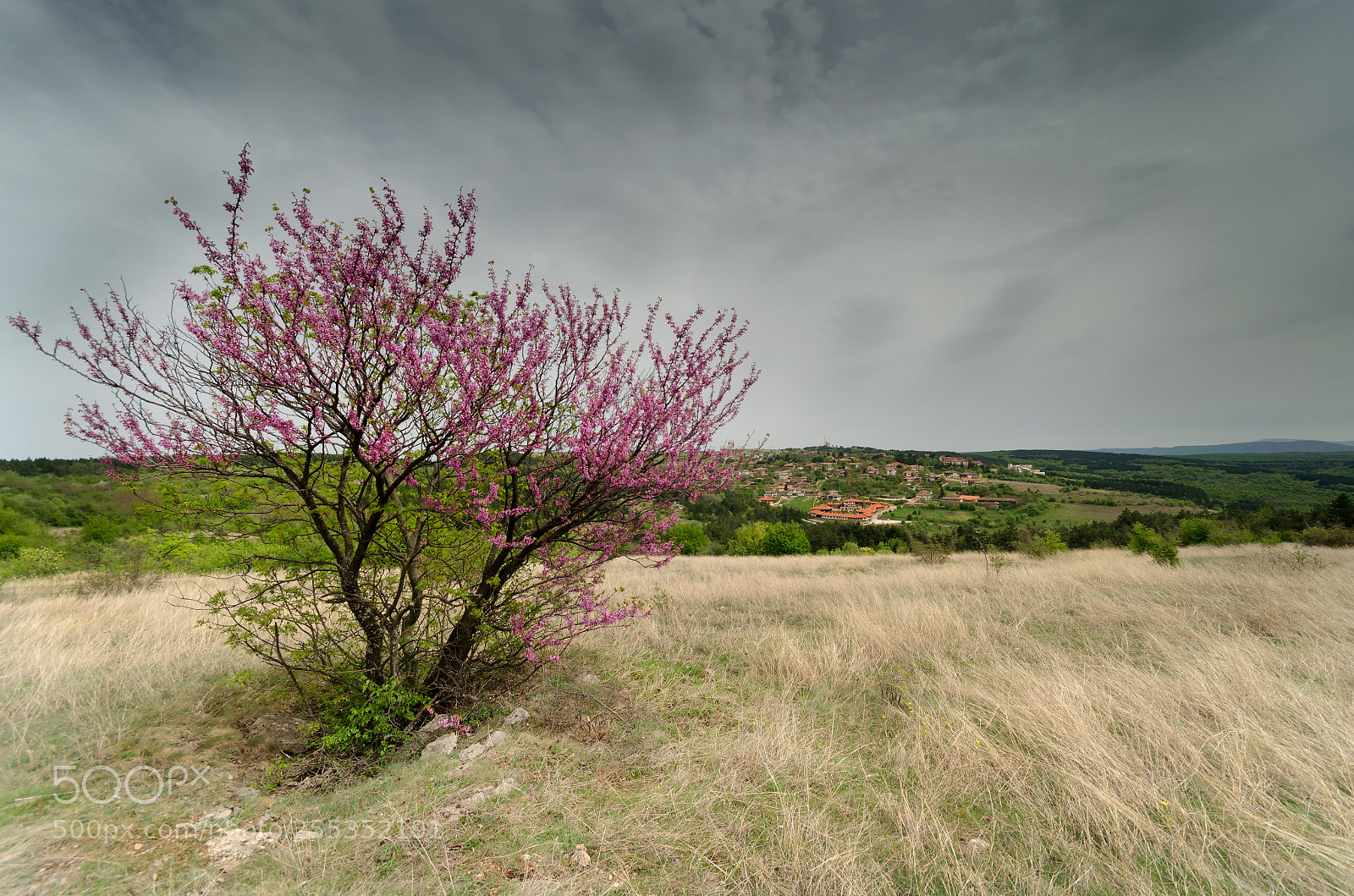 Nikon D5100 sample photo. Time photography