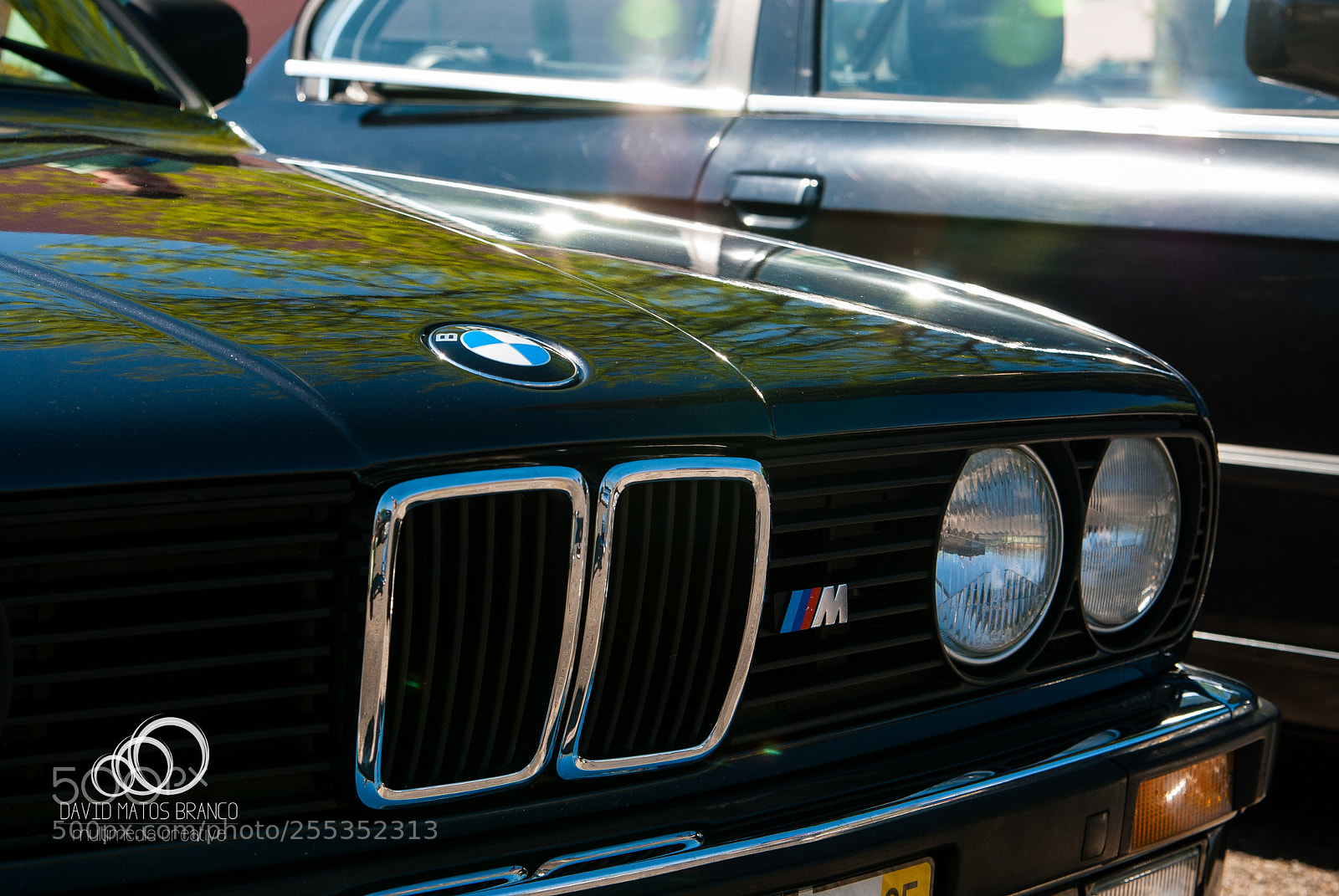 Nikon D80 sample photo. Bmw eyes photography
