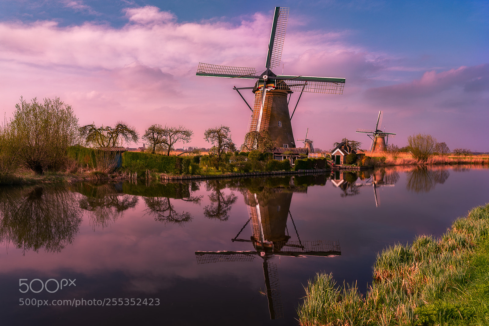 Sony a7R II sample photo. Windmills of holland photography