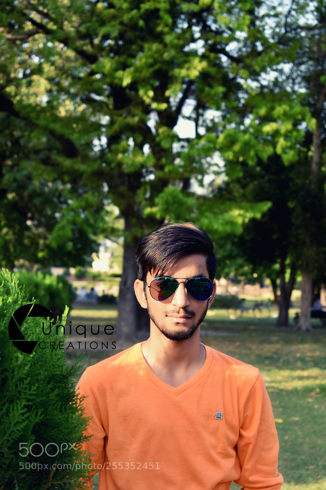 Nikon D3400 sample photo. Untitled photography
