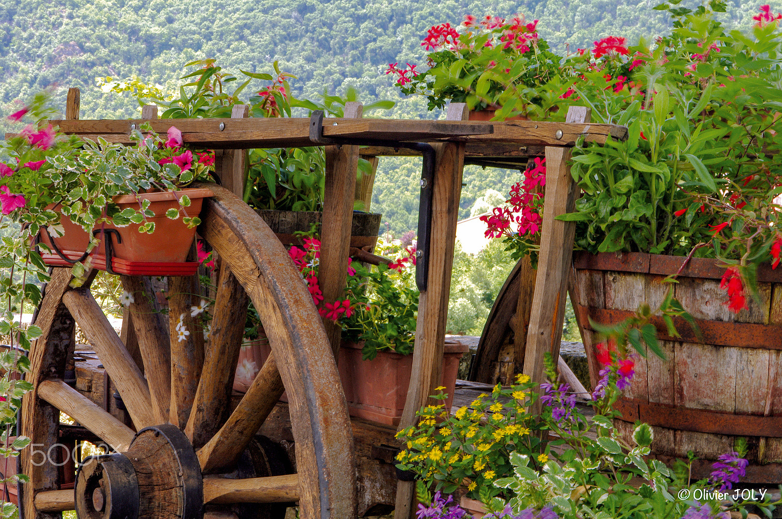 Pentax K-7 sample photo. Flower cart, wooden photography
