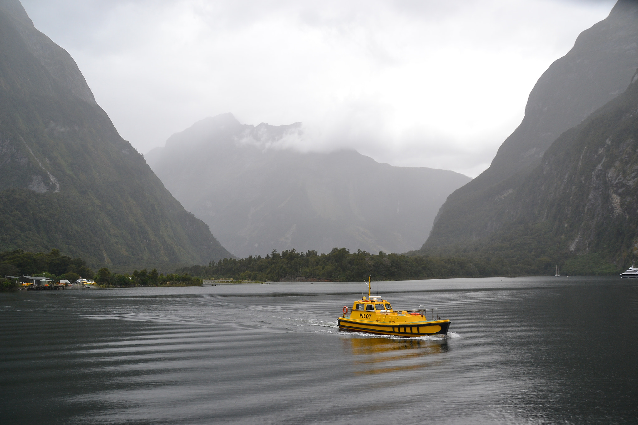 Nikon D3100 + Sigma 18-250mm F3.5-6.3 DC Macro OS HSM sample photo. Milford sound in black&yellow photography