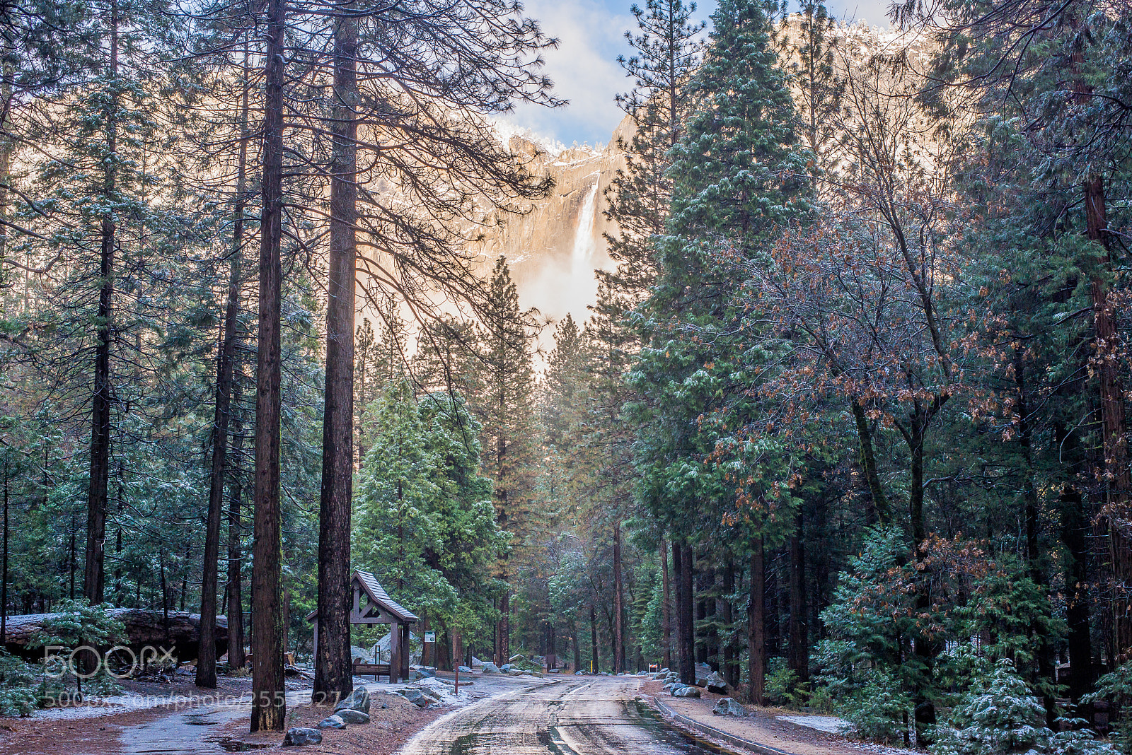 Nikon D610 sample photo. Autumn in yosemite photography