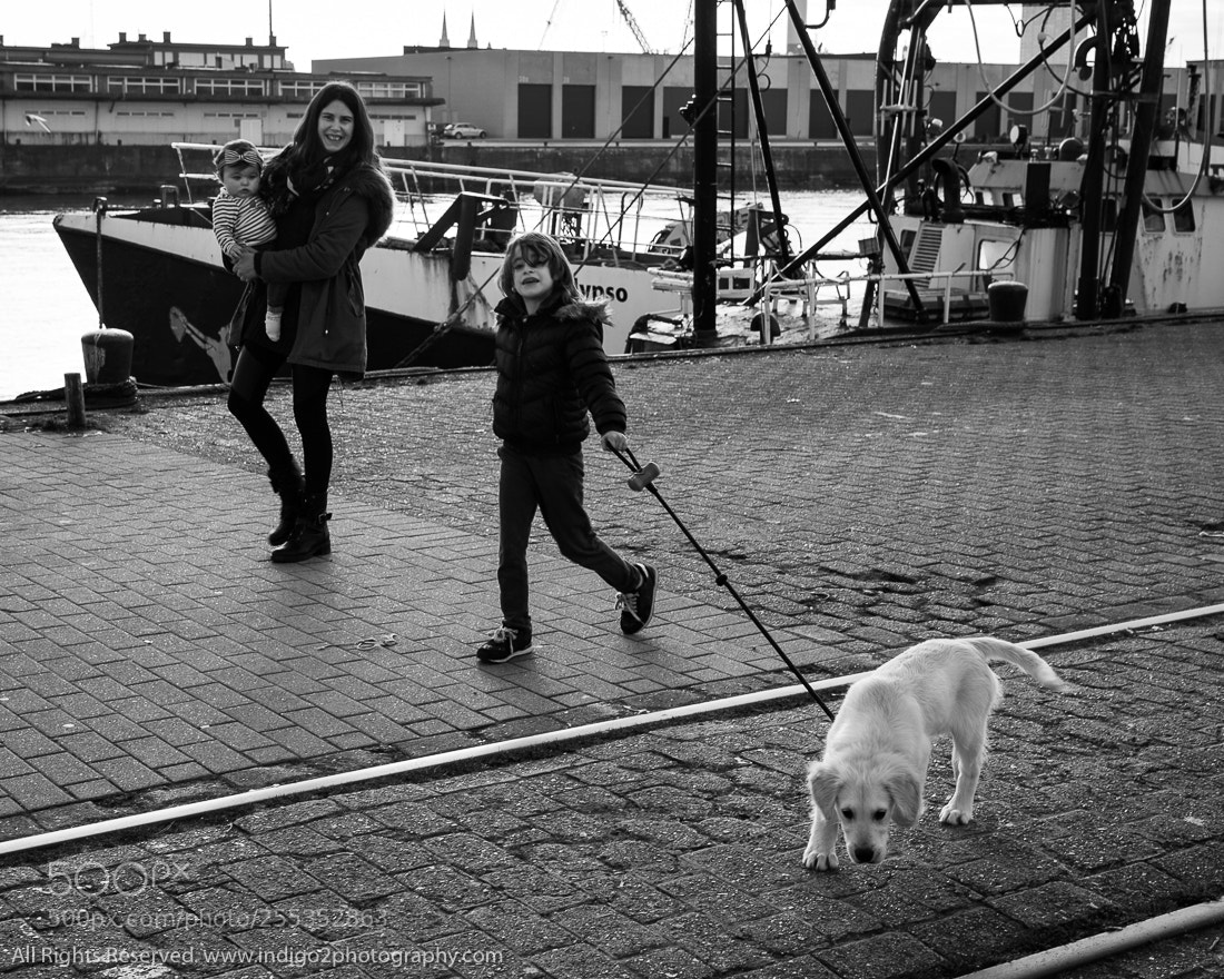 Canon EOS 6D sample photo. Puppy walk photography
