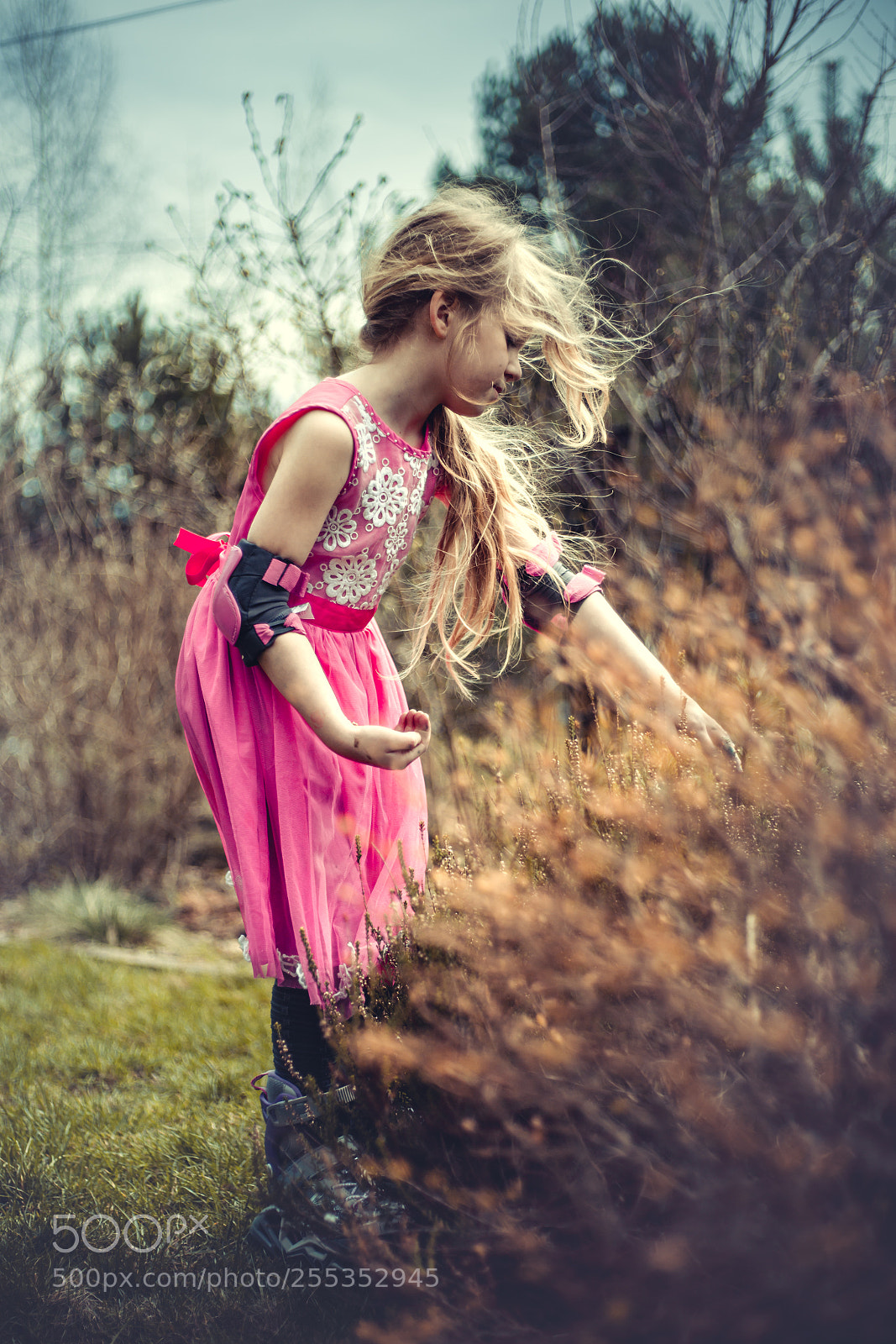 Canon EOS 6D sample photo. Ladybird photography