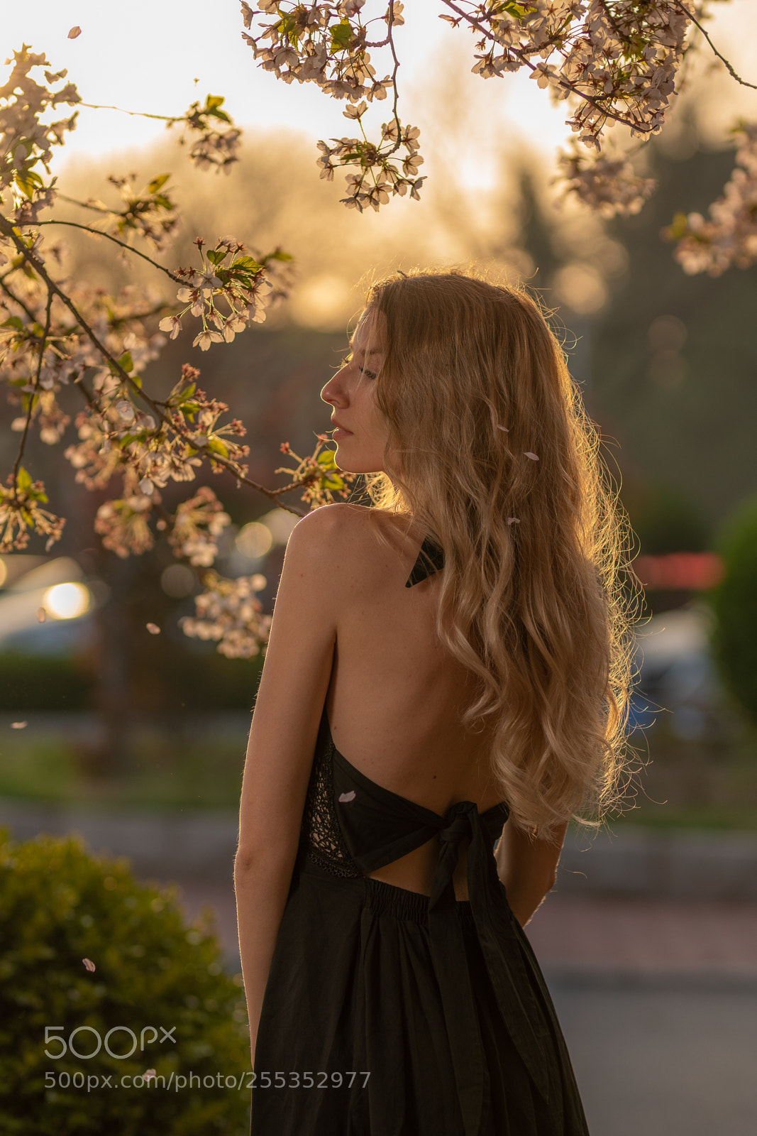 Sony a7R III sample photo. My friend veronika photography