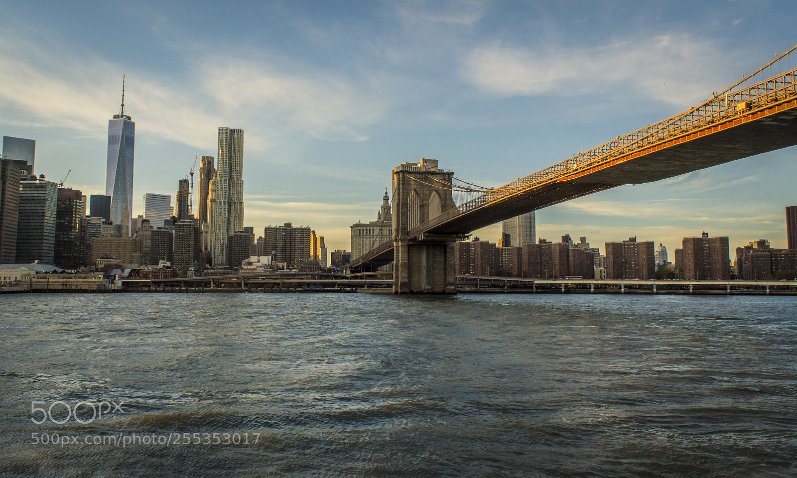 Nikon D5200 sample photo. The bridge that connects photography