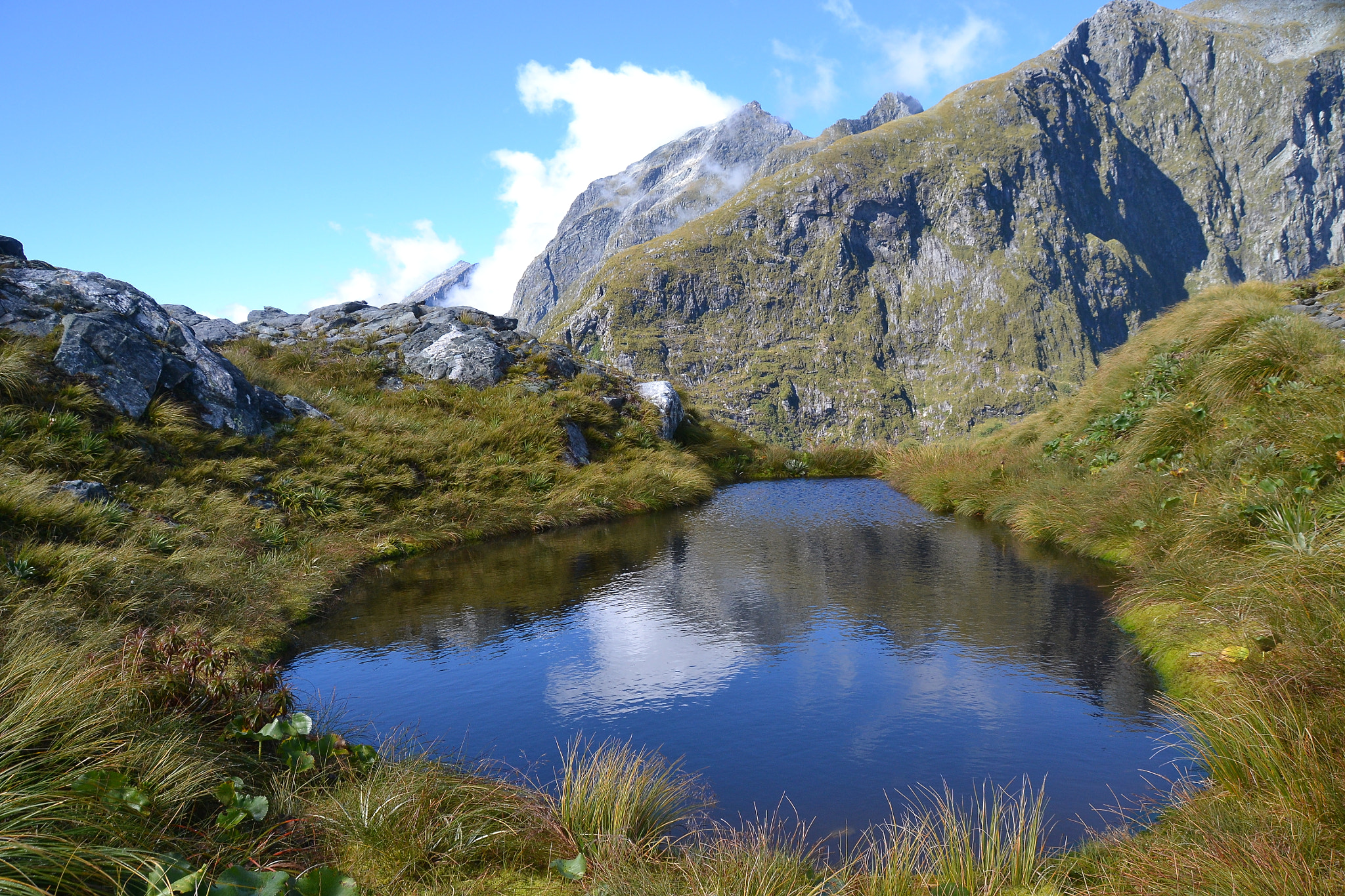 Nikon D3100 + Sigma 18-250mm F3.5-6.3 DC Macro OS HSM sample photo. Milford track in nz photography
