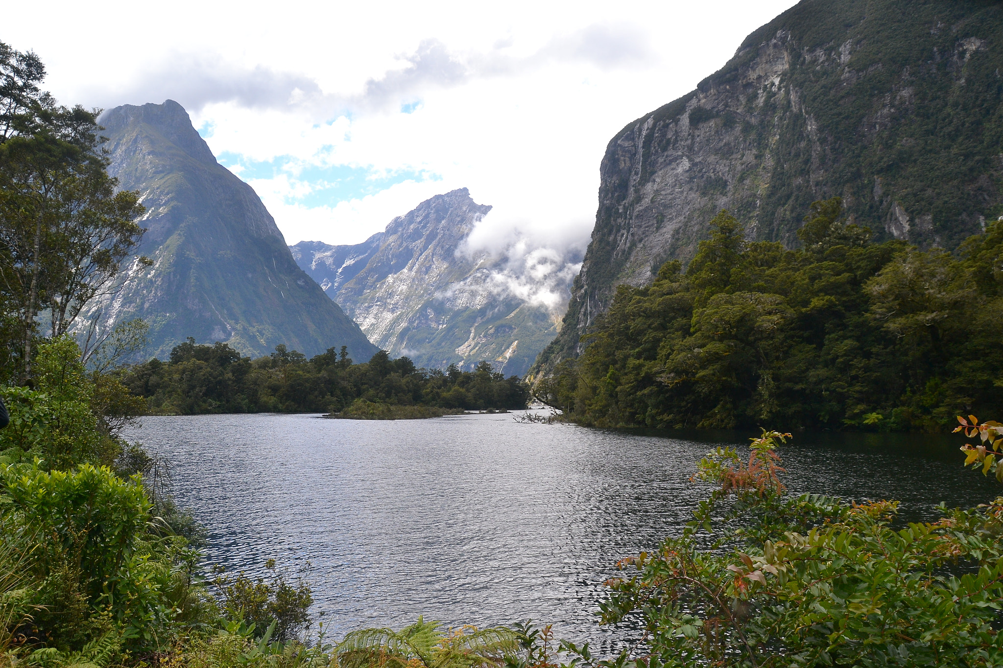Sigma 18-250mm F3.5-6.3 DC Macro OS HSM sample photo. Milford track in nz photography