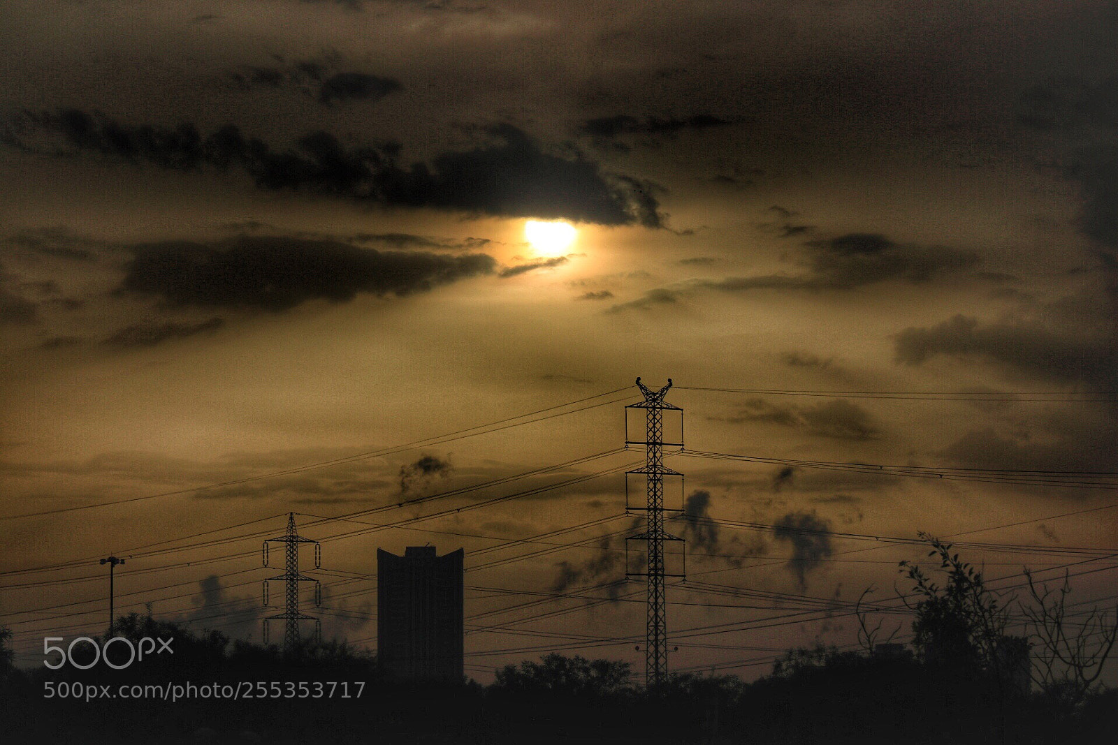 Canon EOS 80D sample photo. Untitled photography