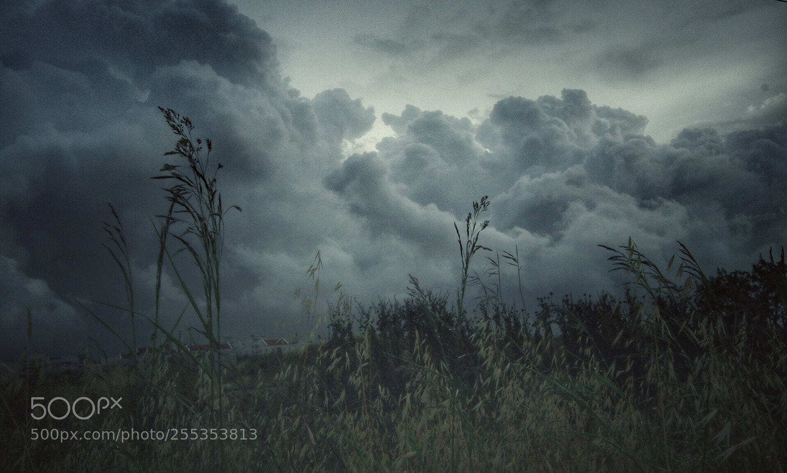 Canon EOS 80D sample photo. Untitled photography