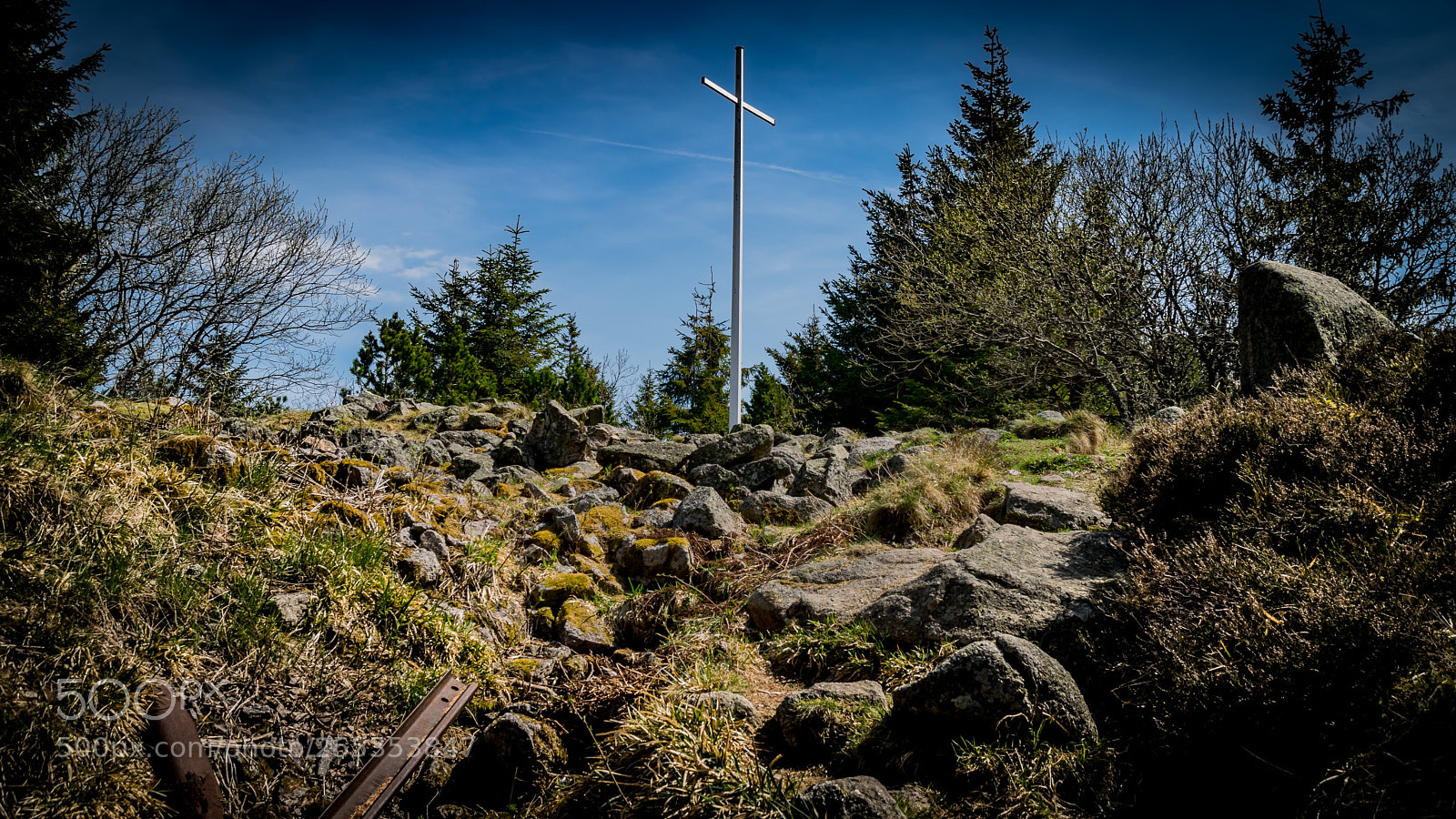 Nikon D3300 sample photo. T te des faux photography
