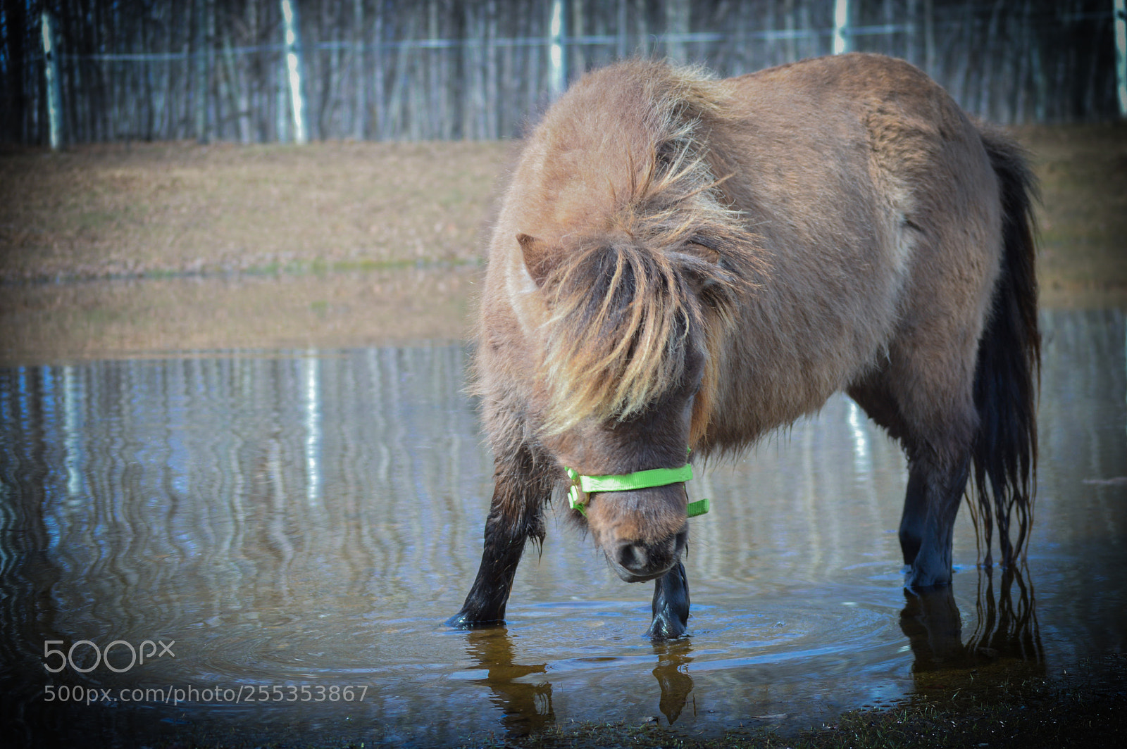 Nikon D3200 sample photo. Spring time photography