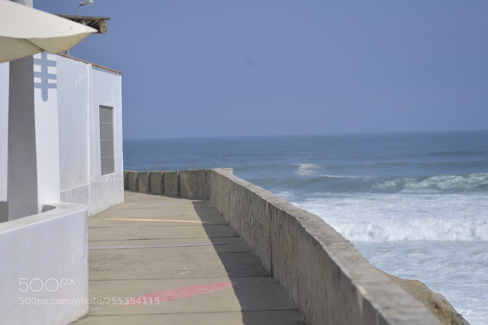 Nikon D5 sample photo. Azul photography