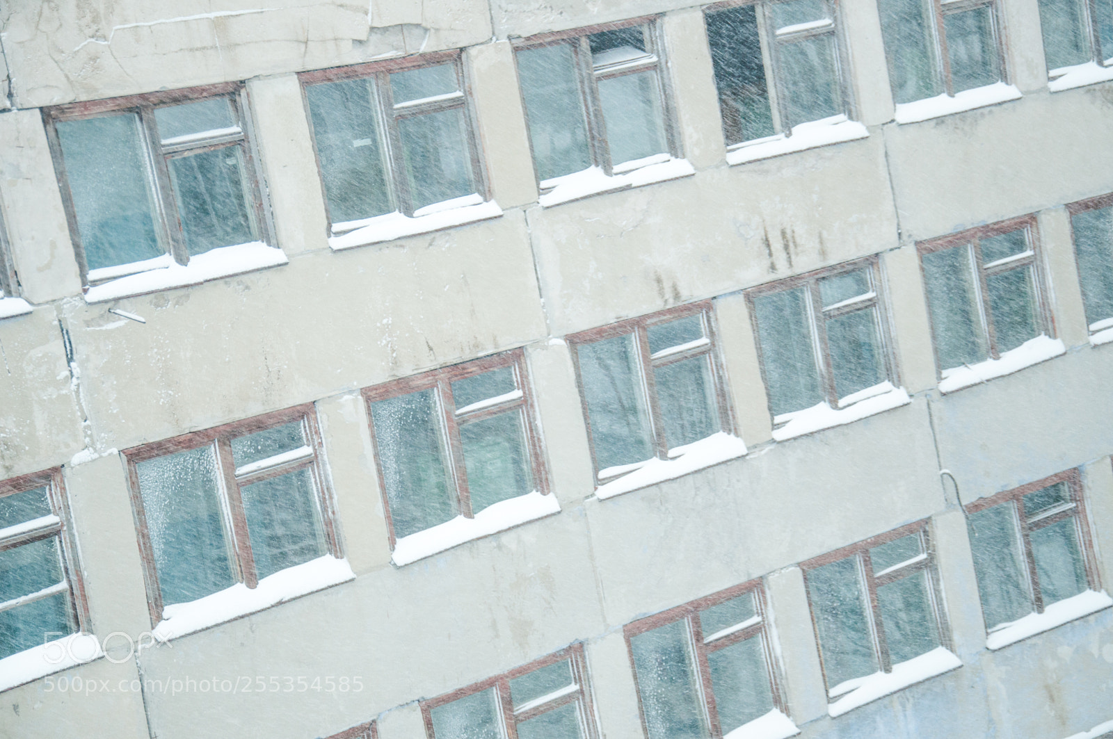 Nikon D5000 sample photo. Spring in siberia photography