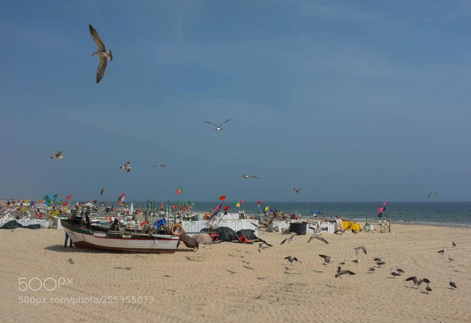 Fujifilm FinePix X100 sample photo. Monte gordo photography