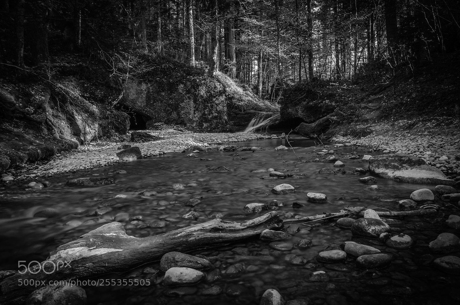 Nikon D300 sample photo. Am wasser photography